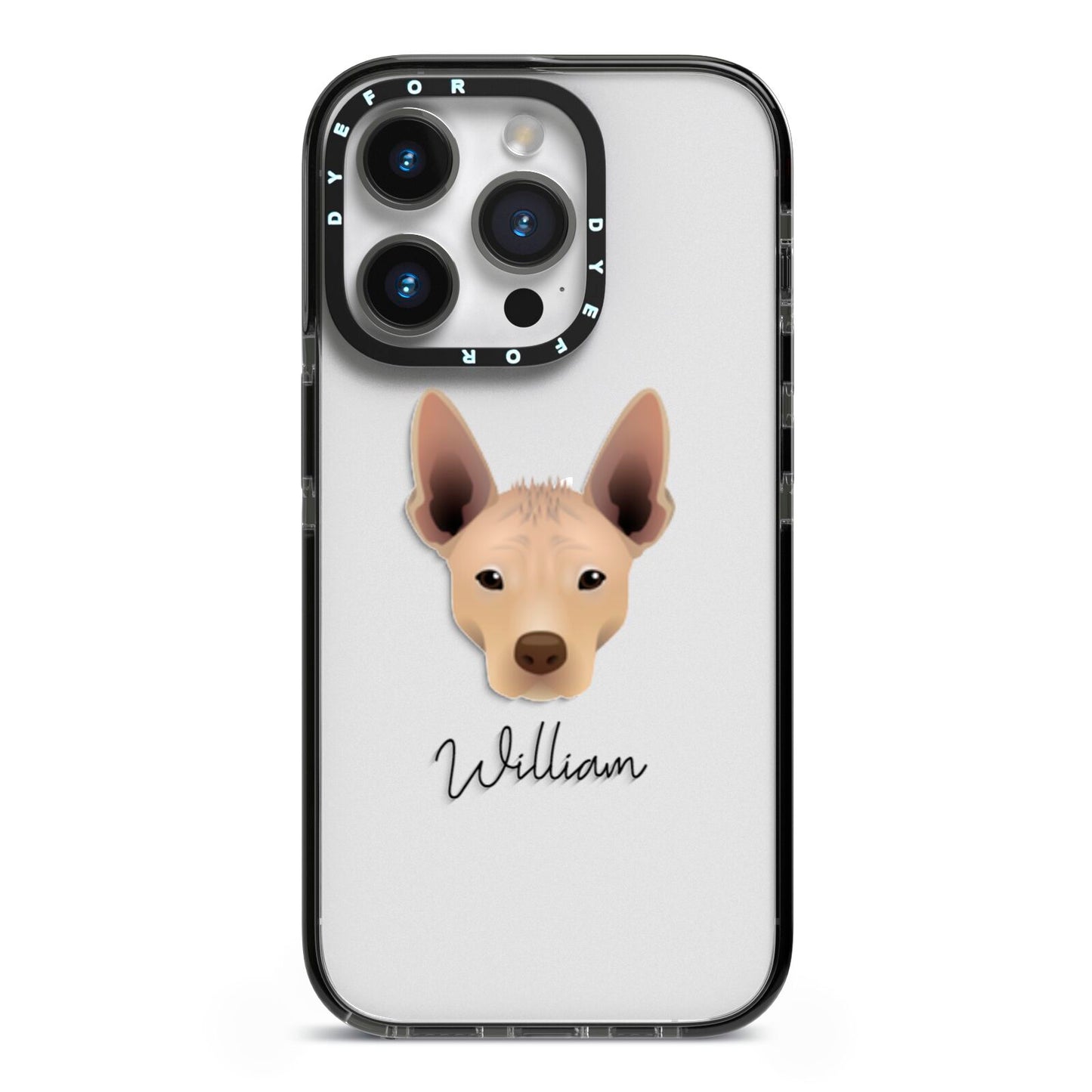 Mexican Hairless Personalised iPhone 14 Pro Black Impact Case on Silver phone
