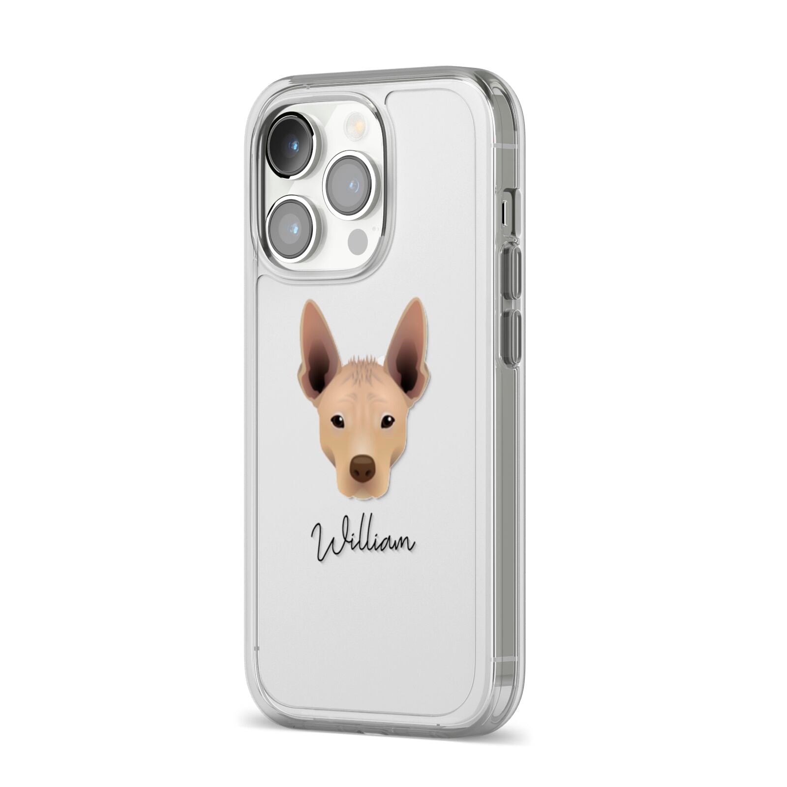 Mexican Hairless Personalised iPhone 14 Pro Clear Tough Case Silver Angled Image