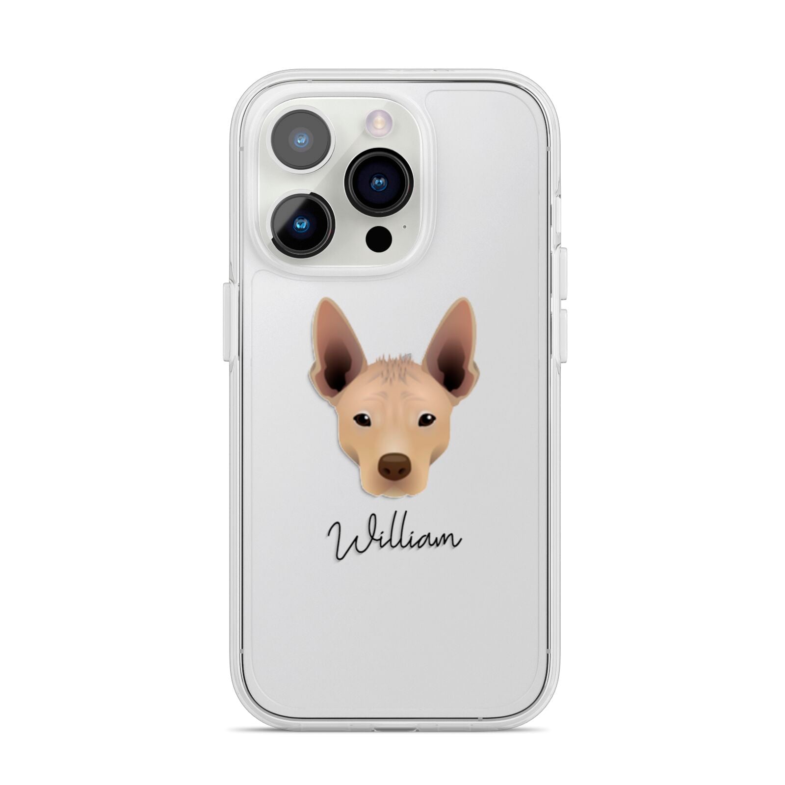 Mexican Hairless Personalised iPhone 14 Pro Clear Tough Case Silver