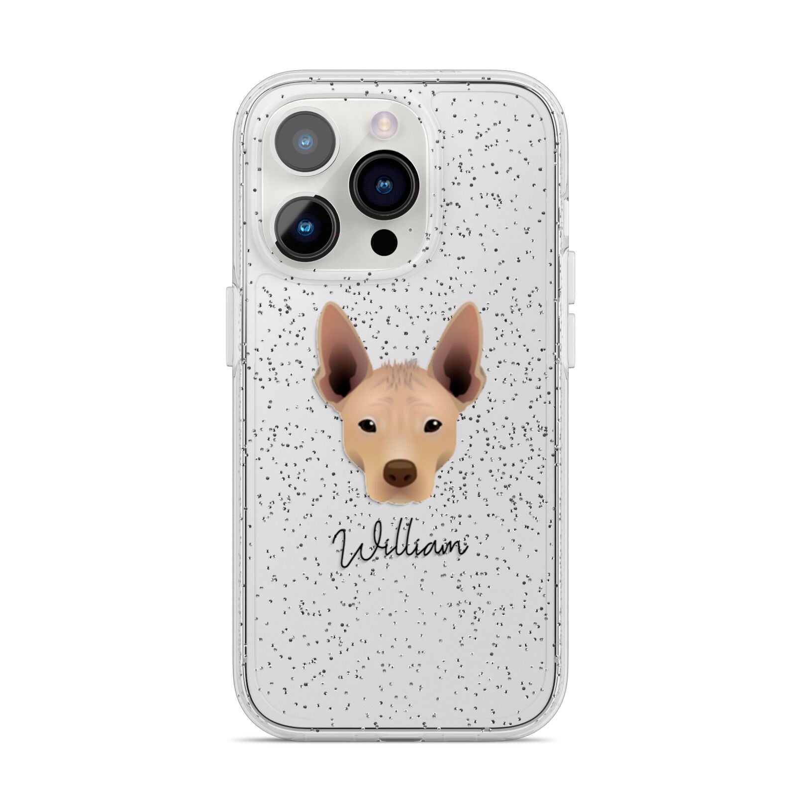 Mexican Hairless Personalised iPhone 14 Pro Glitter Tough Case Silver
