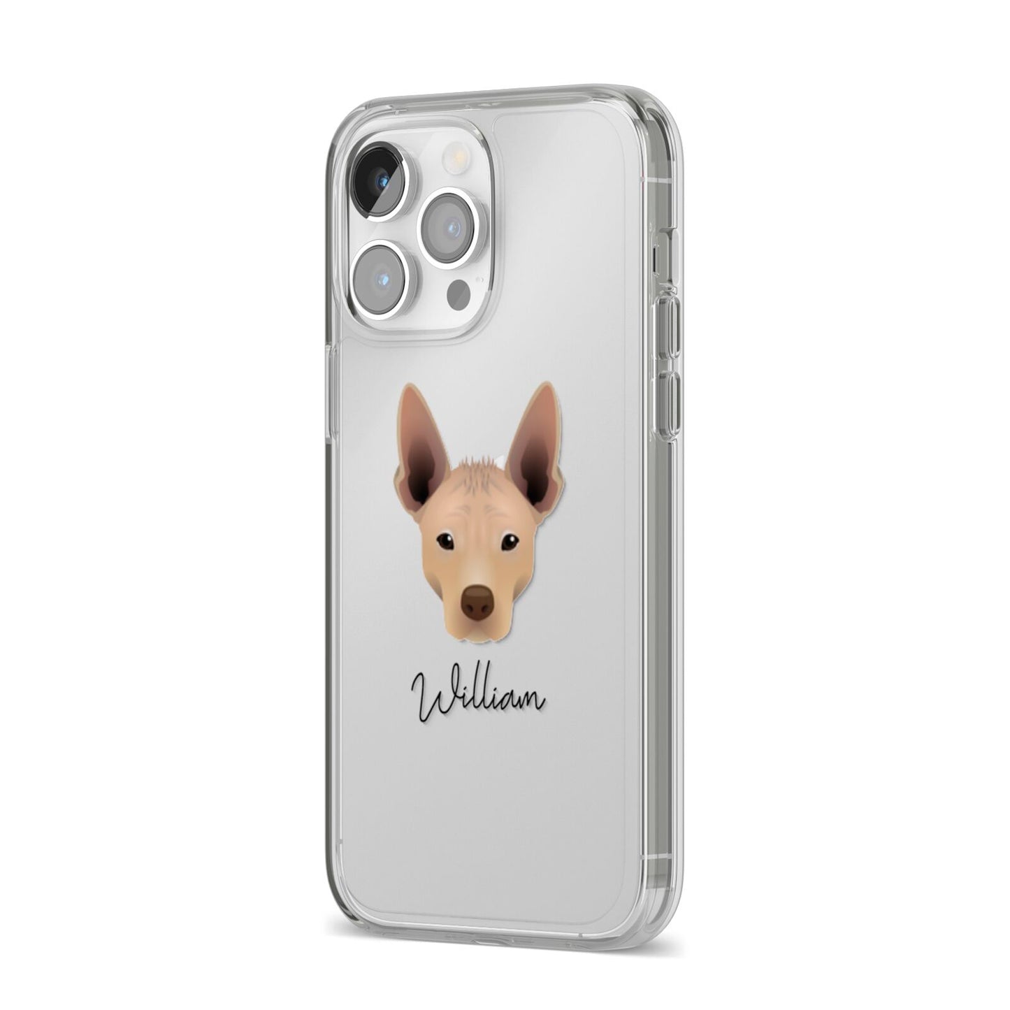Mexican Hairless Personalised iPhone 14 Pro Max Clear Tough Case Silver Angled Image