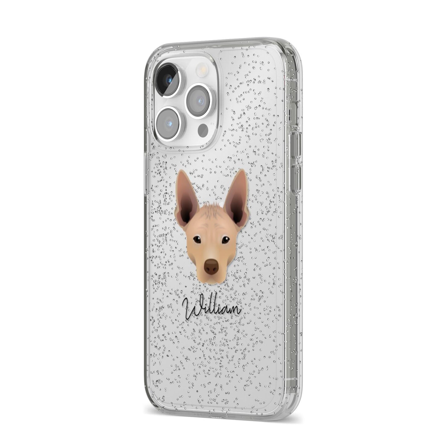Mexican Hairless Personalised iPhone 14 Pro Max Glitter Tough Case Silver Angled Image