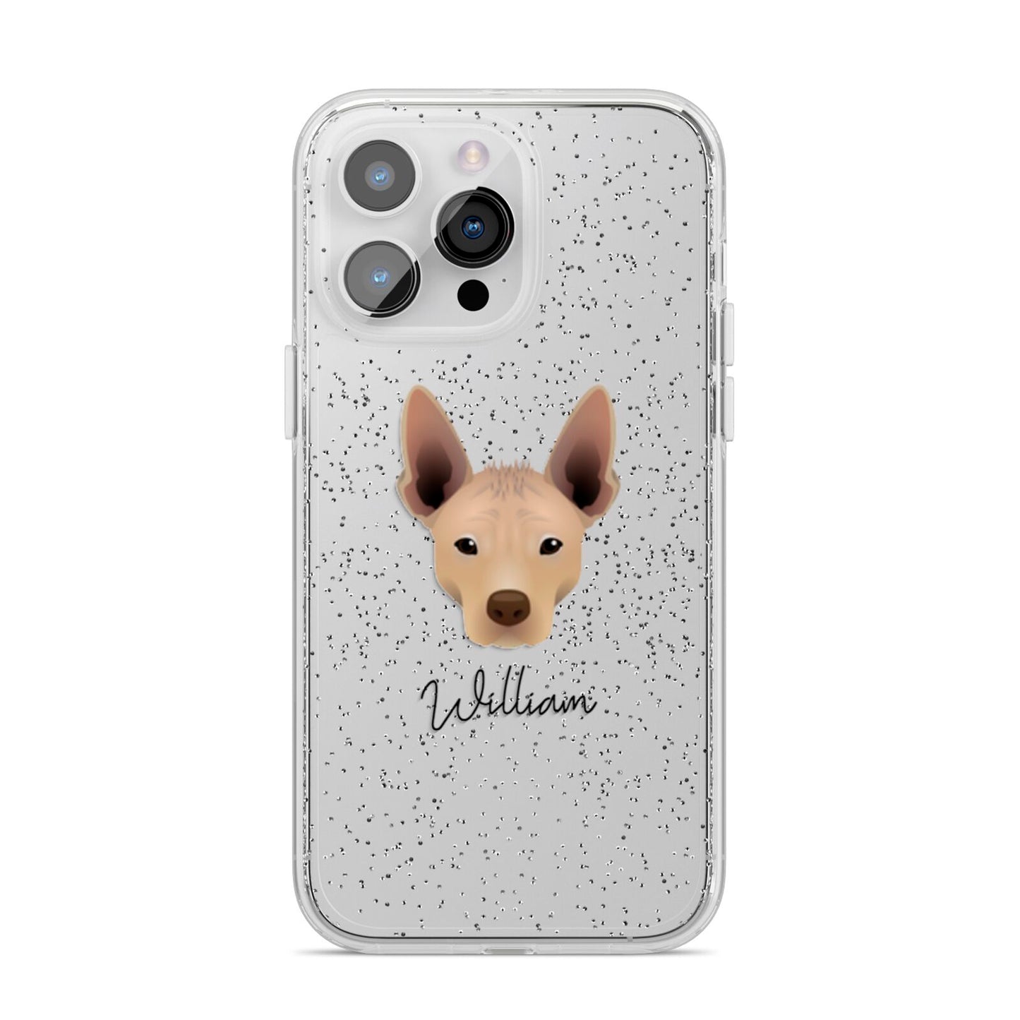 Mexican Hairless Personalised iPhone 14 Pro Max Glitter Tough Case Silver
