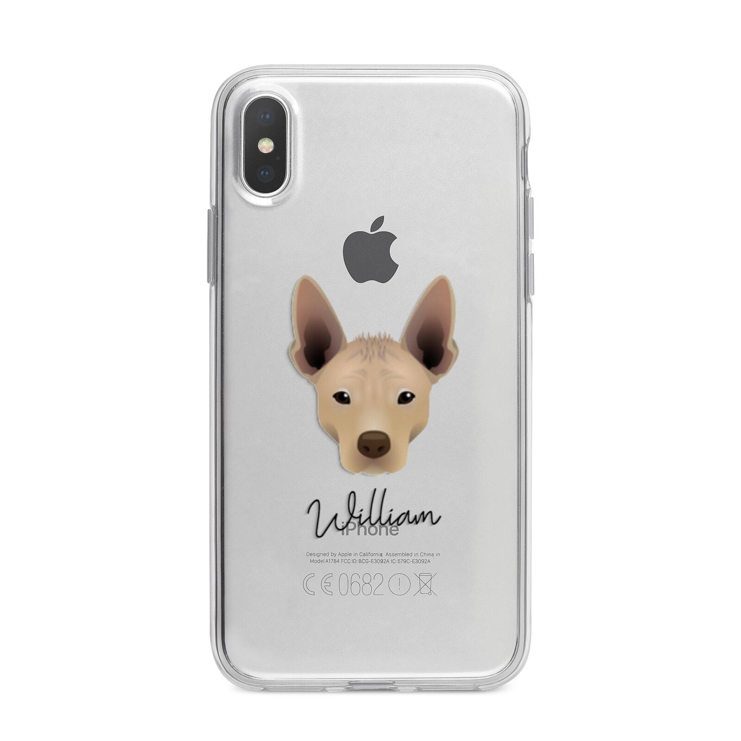 Mexican Hairless Personalised iPhone X Bumper Case on Silver iPhone Alternative Image 1