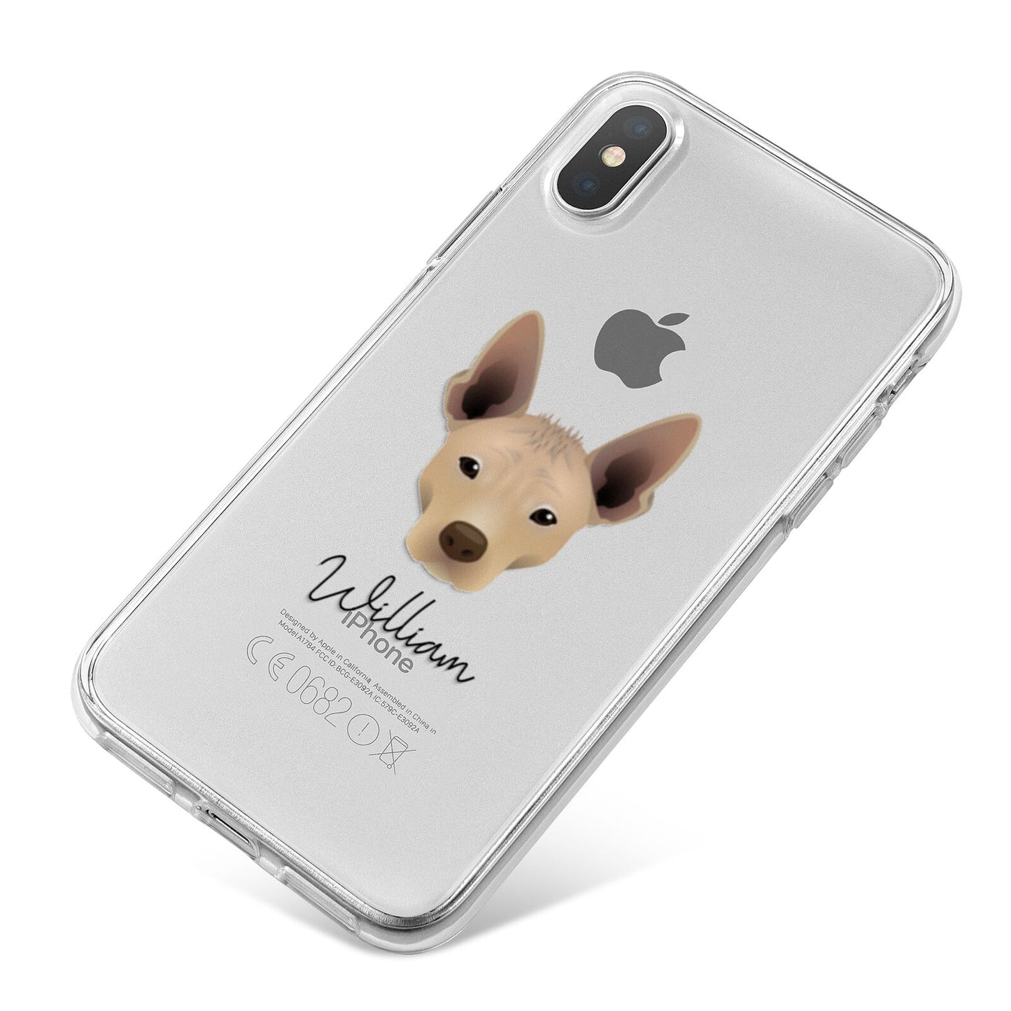 Mexican Hairless Personalised iPhone X Bumper Case on Silver iPhone