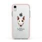Miniature Bull Terrier Personalised Apple iPhone XR Impact Case Pink Edge on Silver Phone