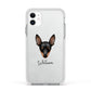 Miniature Pinscher Personalised Apple iPhone 11 in White with White Impact Case