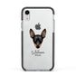 Miniature Pinscher Personalised Apple iPhone XR Impact Case Black Edge on Silver Phone