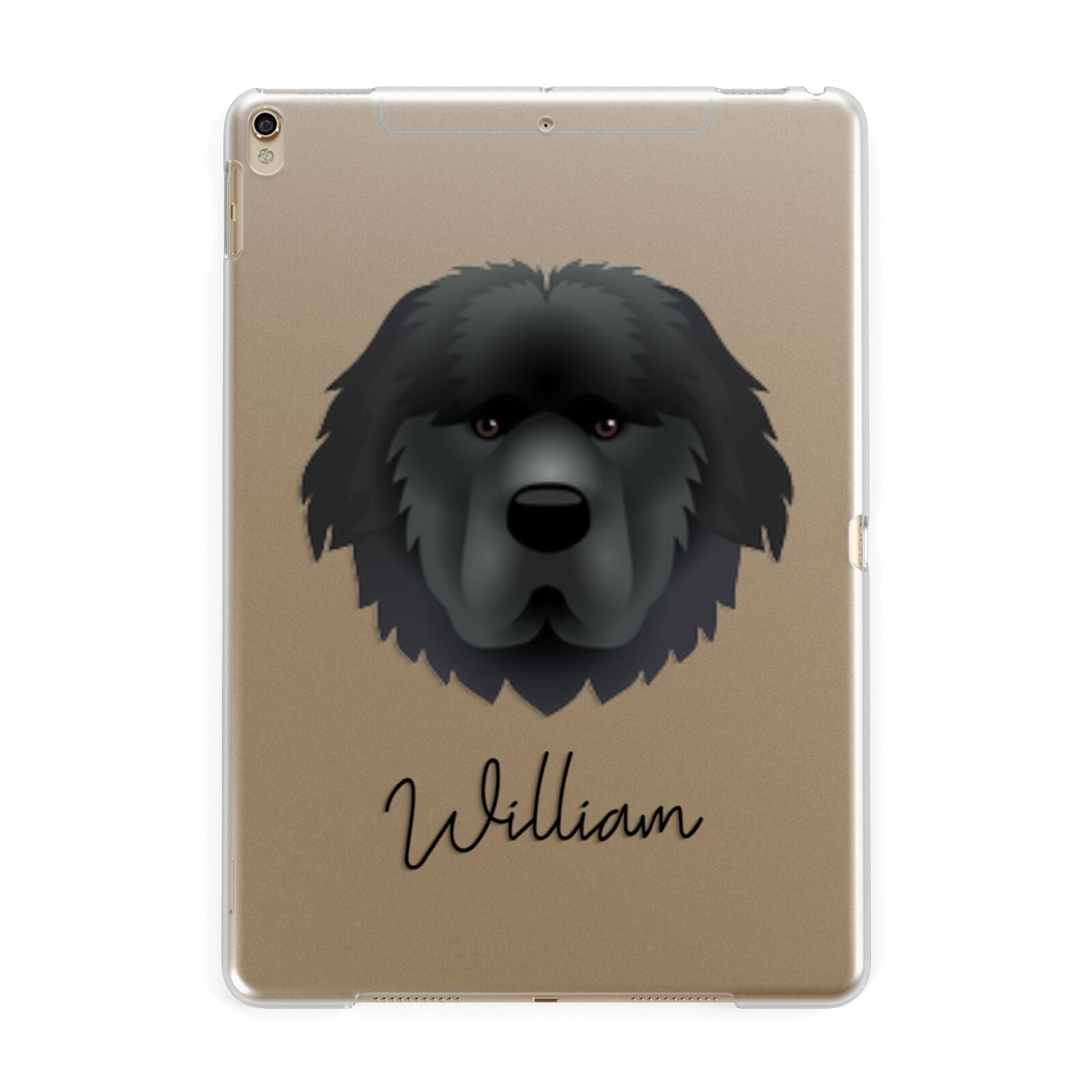 Newfoundland Personalised Apple iPad Gold Case