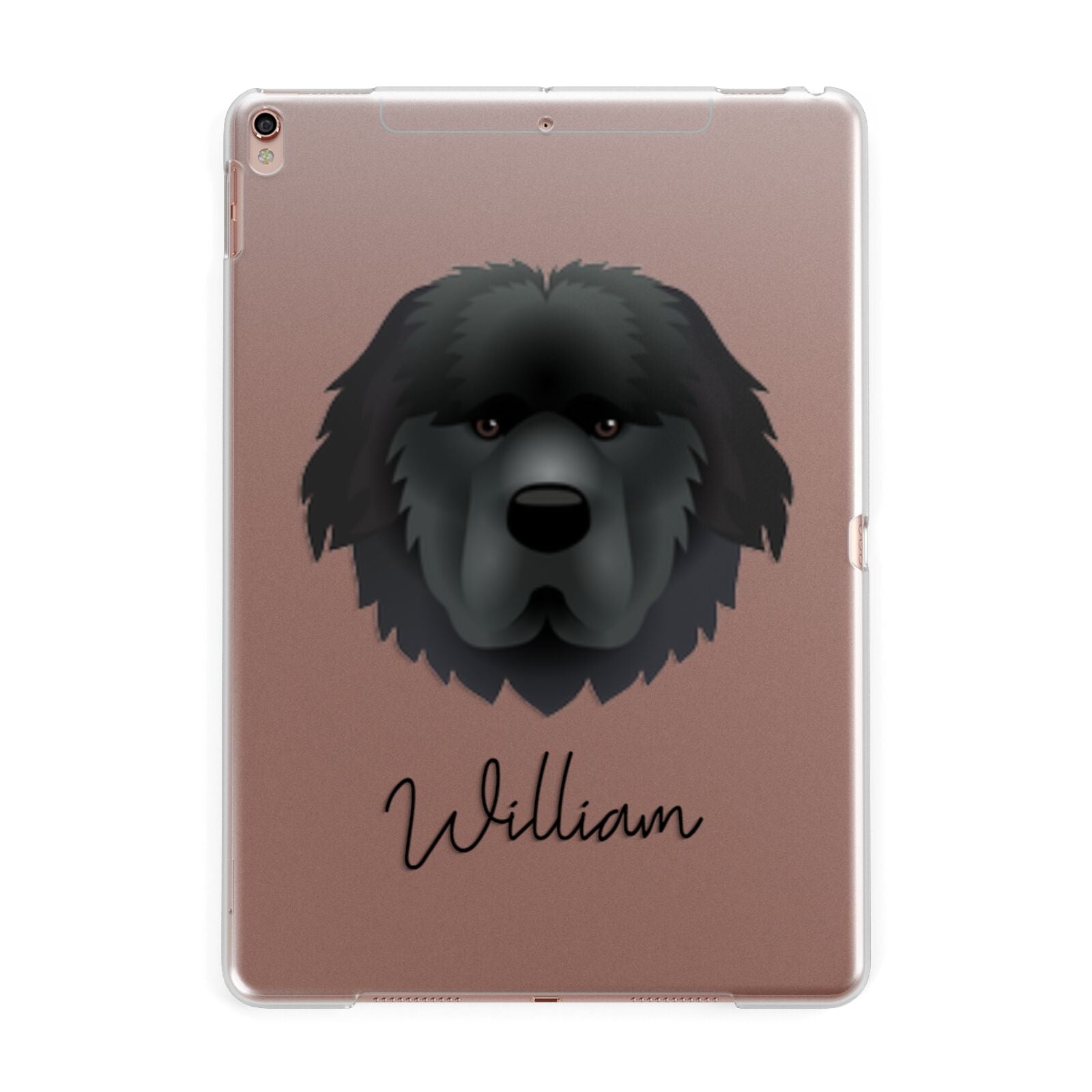 Newfoundland Personalised Apple iPad Rose Gold Case