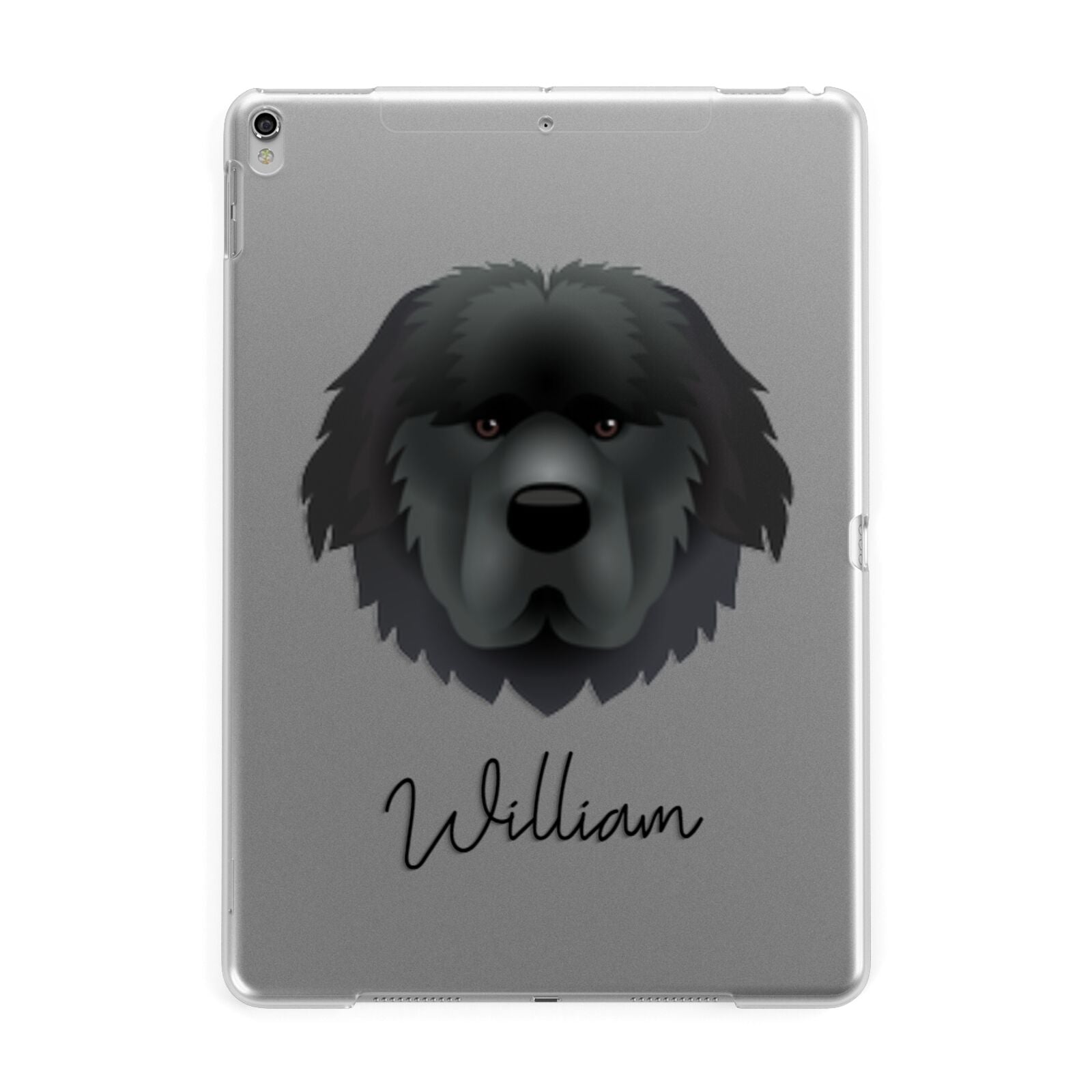 Newfoundland Personalised Apple iPad Silver Case