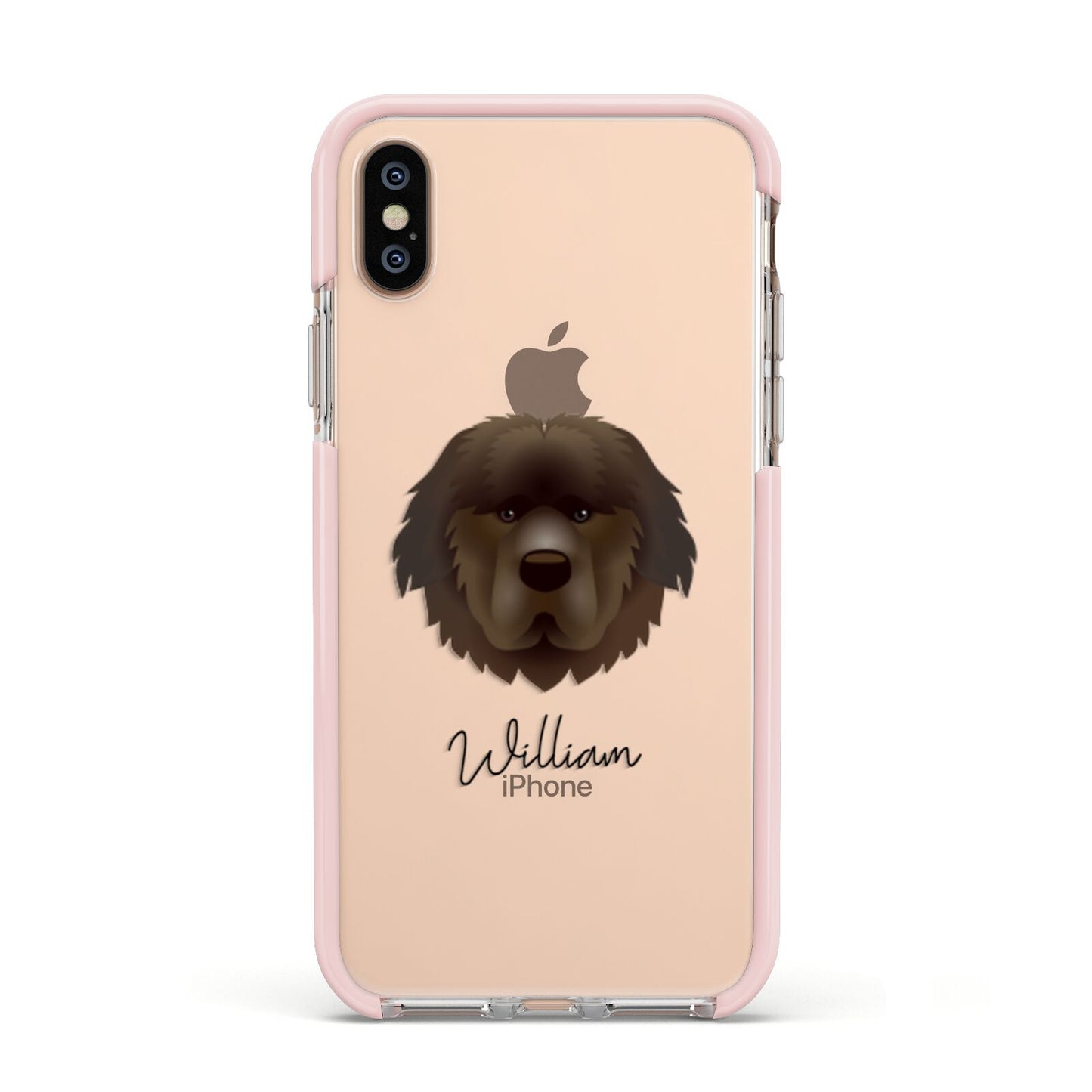 Newfoundland Personalised Apple iPhone Xs Impact Case Pink Edge on Gold Phone