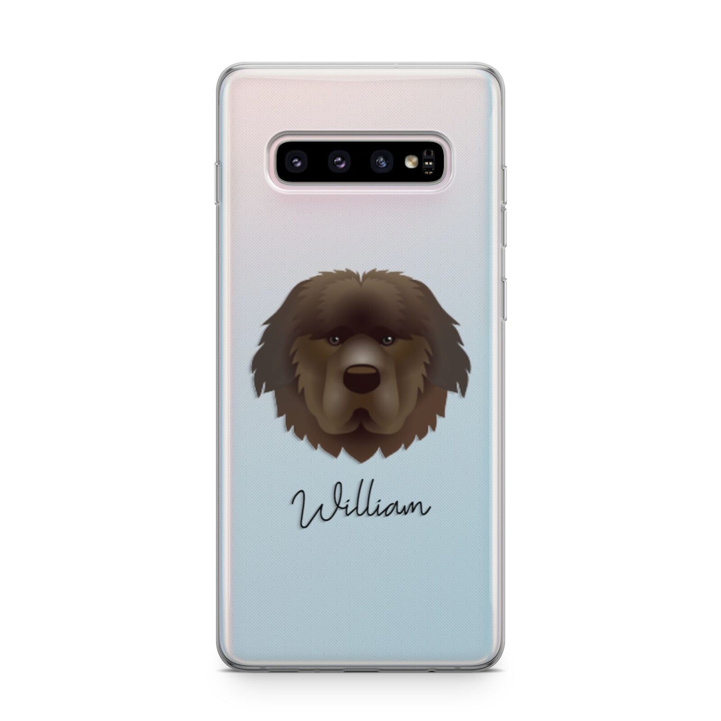 Newfoundland Personalised Samsung Galaxy S10 Plus Case