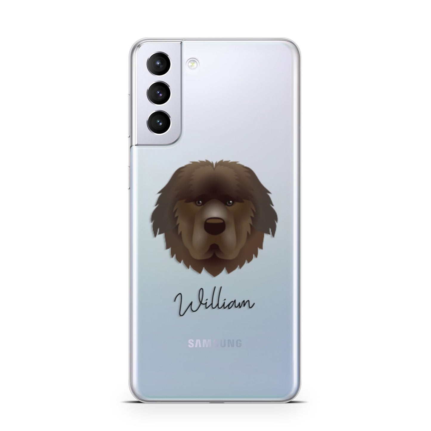 Newfoundland Personalised Samsung S21 Plus Phone Case