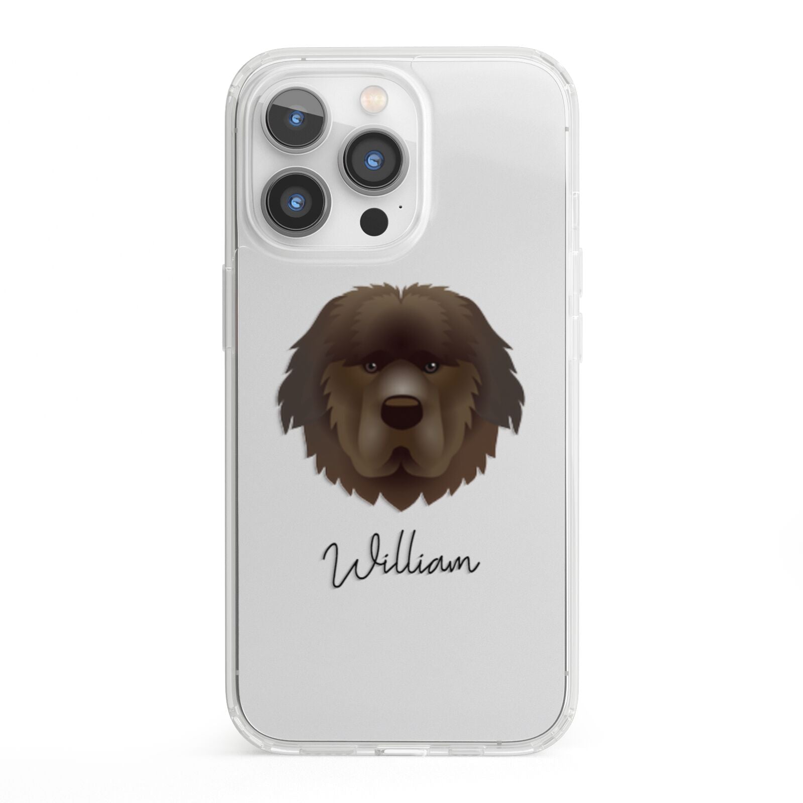 Newfoundland Personalised iPhone 13 Pro Clear Bumper Case