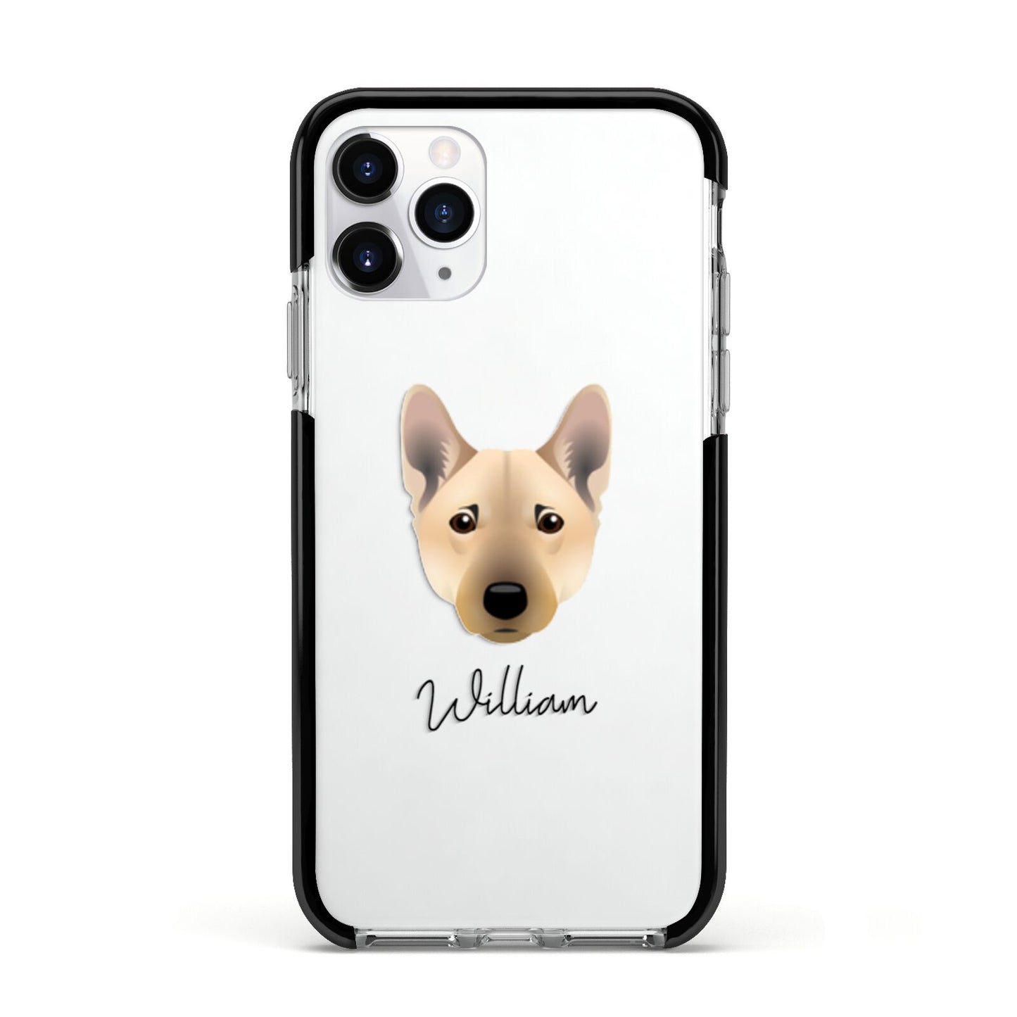 Norwegian Buhund Personalised Apple iPhone 11 Pro in Silver with Black Impact Case