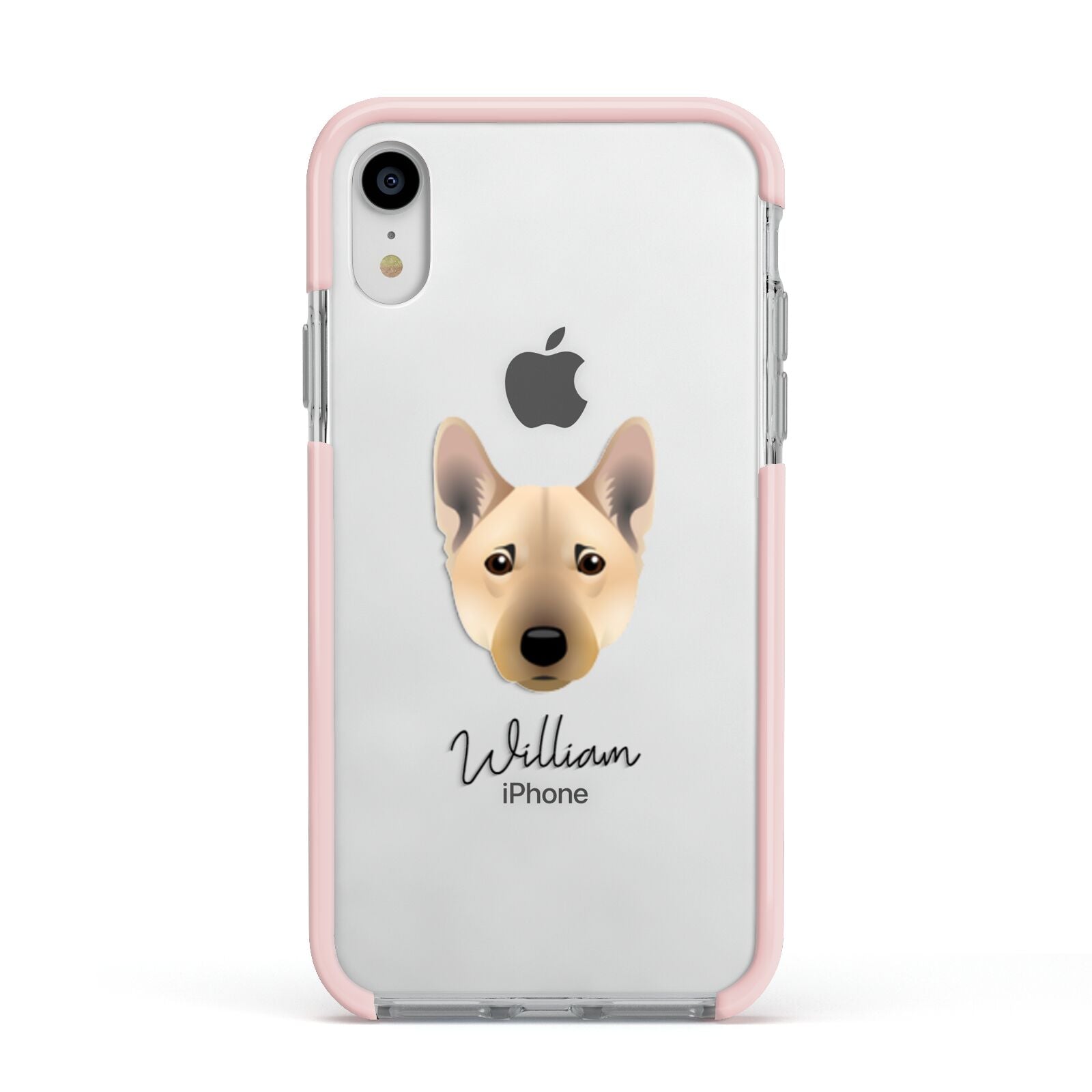 Norwegian Buhund Personalised Apple iPhone XR Impact Case Pink Edge on Silver Phone
