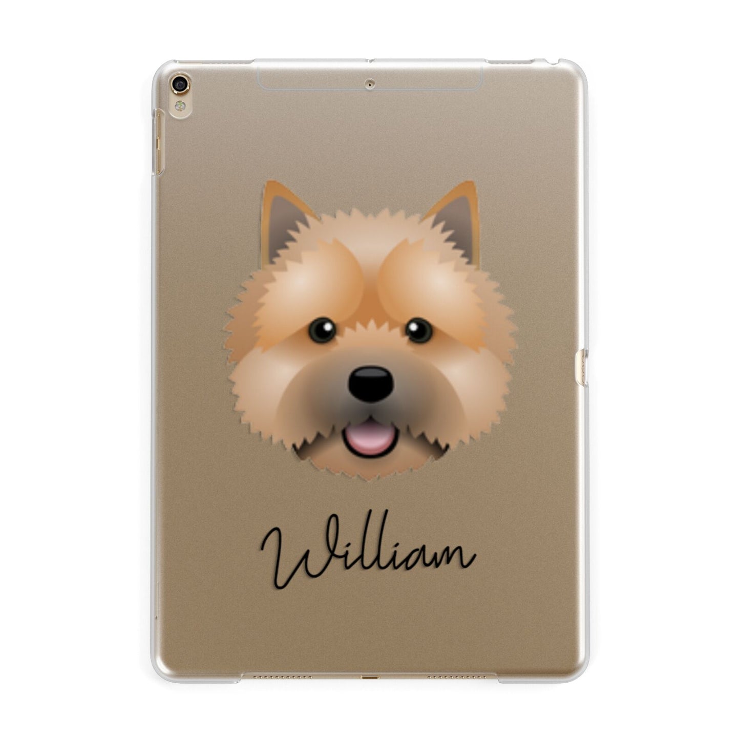 Norwich Terrier Personalised Apple iPad Gold Case