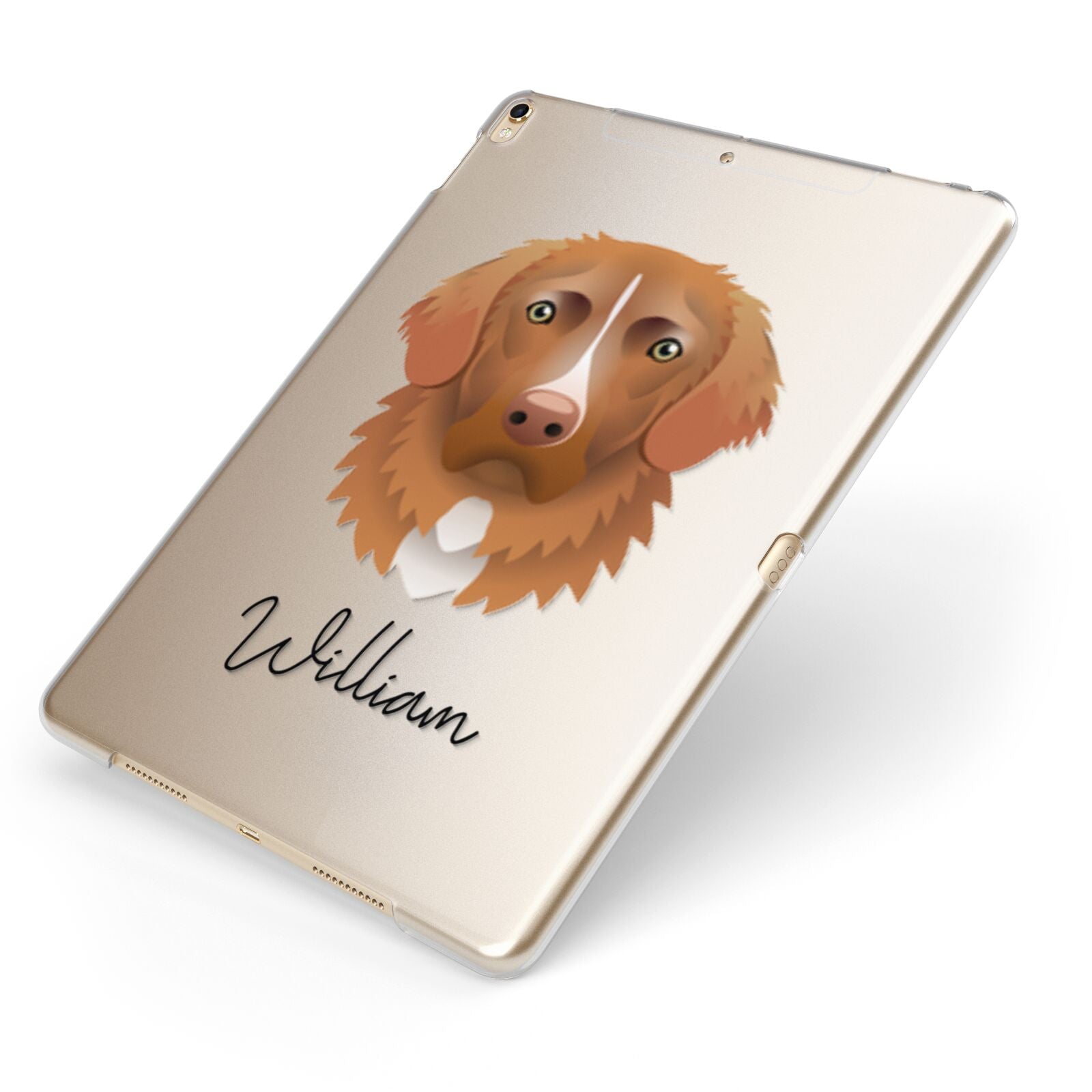 Nova Scotia Duck Tolling Retriever Personalised Apple iPad Case on Gold iPad Side View