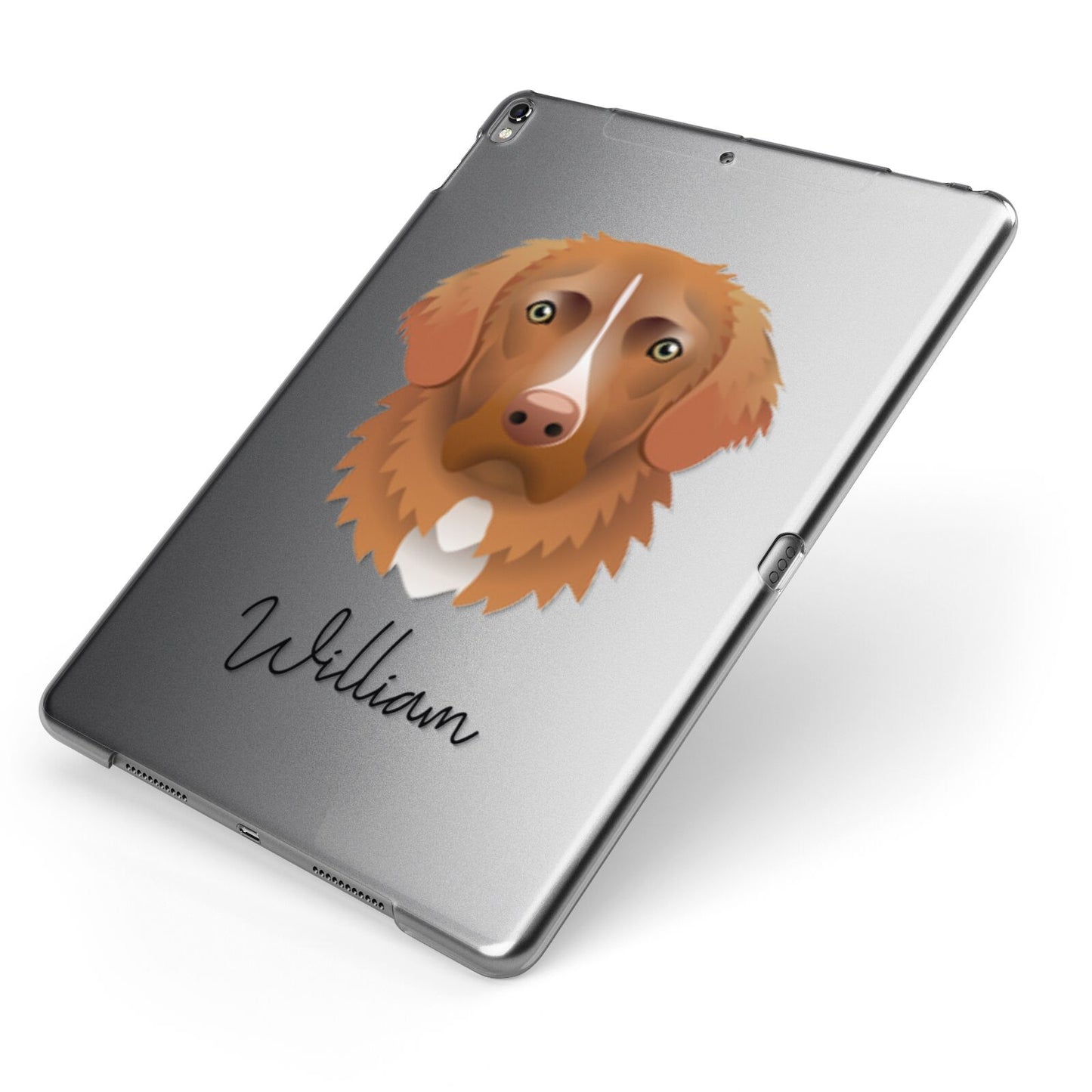 Nova Scotia Duck Tolling Retriever Personalised Apple iPad Case on Grey iPad Side View