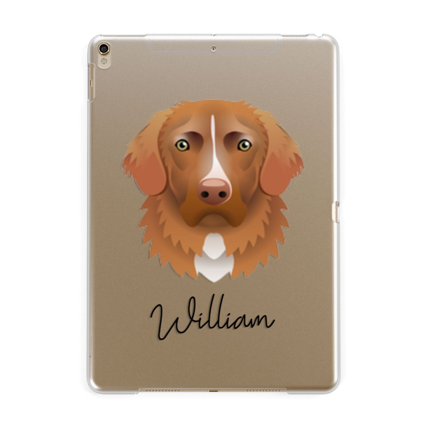 Nova Scotia Duck Tolling Retriever Personalised Apple iPad Gold Case