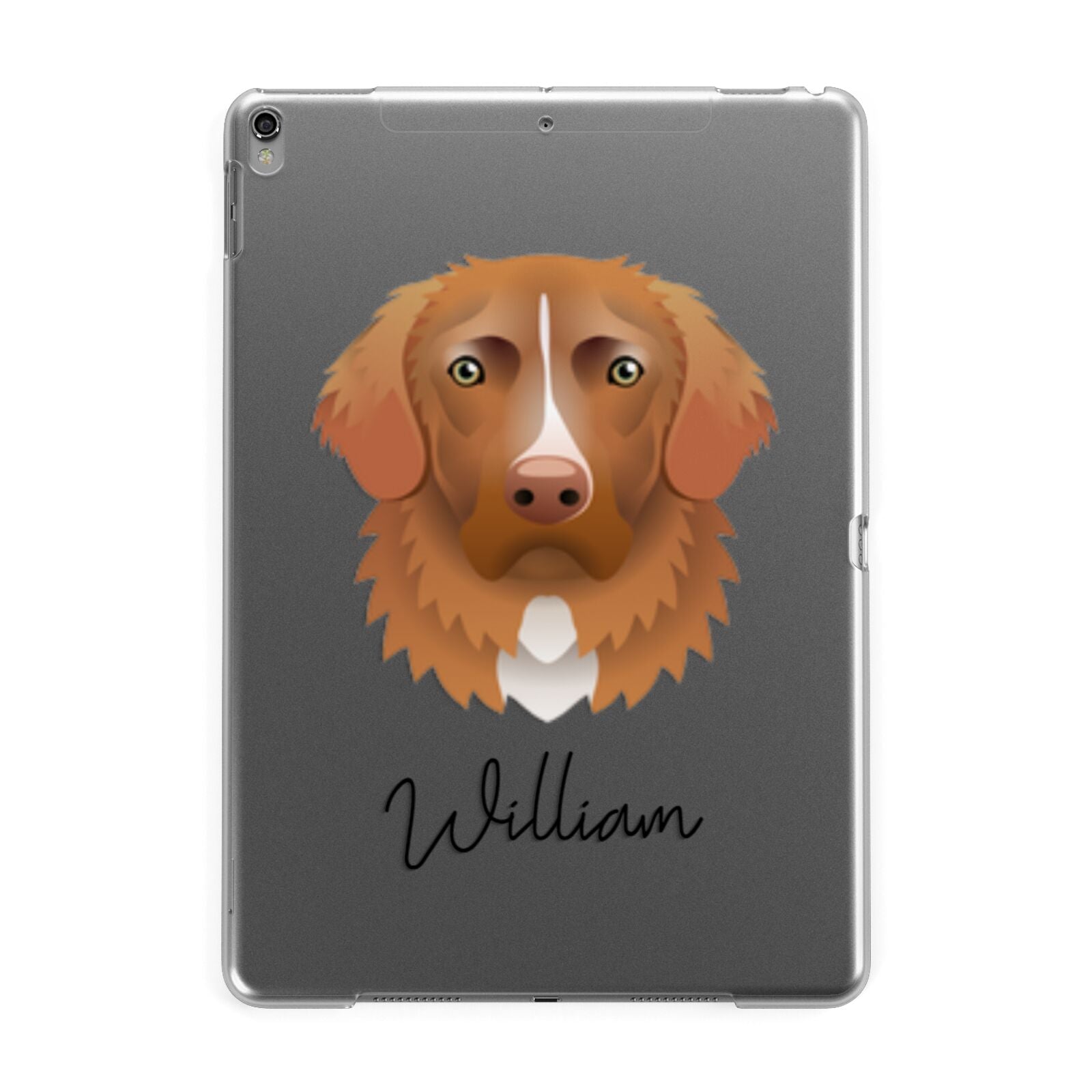 Nova Scotia Duck Tolling Retriever Personalised Apple iPad Grey Case