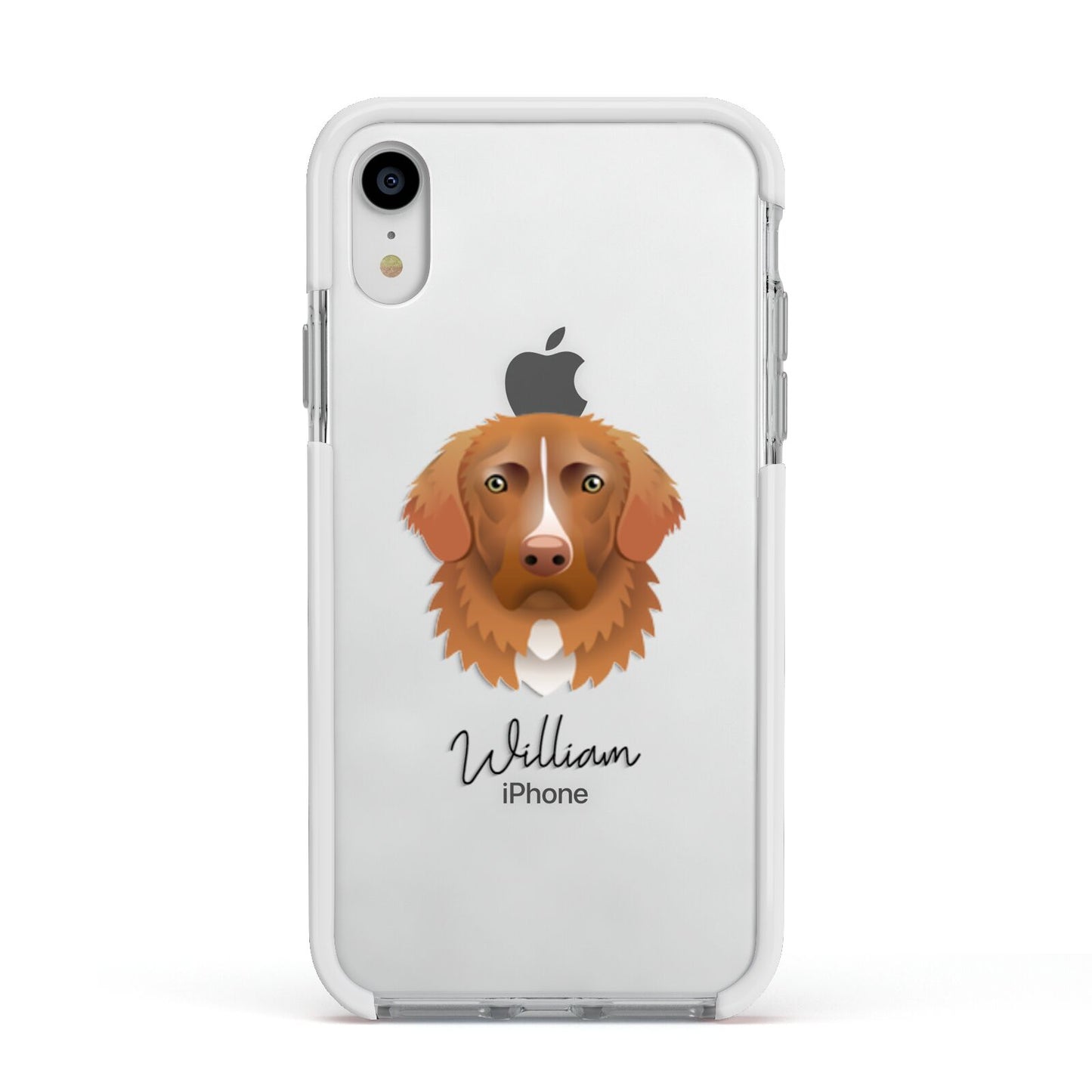 Nova Scotia Duck Tolling Retriever Personalised Apple iPhone XR Impact Case White Edge on Silver Phone