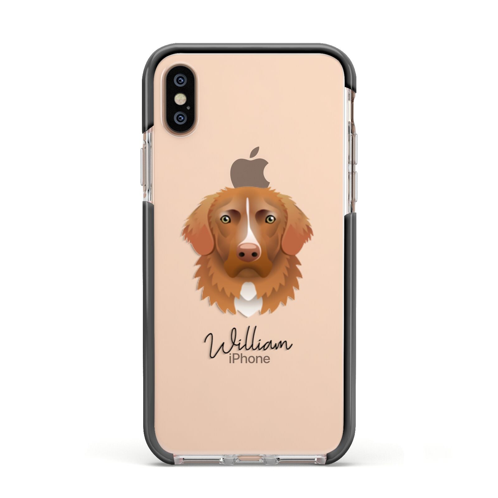 Nova Scotia Duck Tolling Retriever Personalised Apple iPhone Xs Impact Case Black Edge on Gold Phone