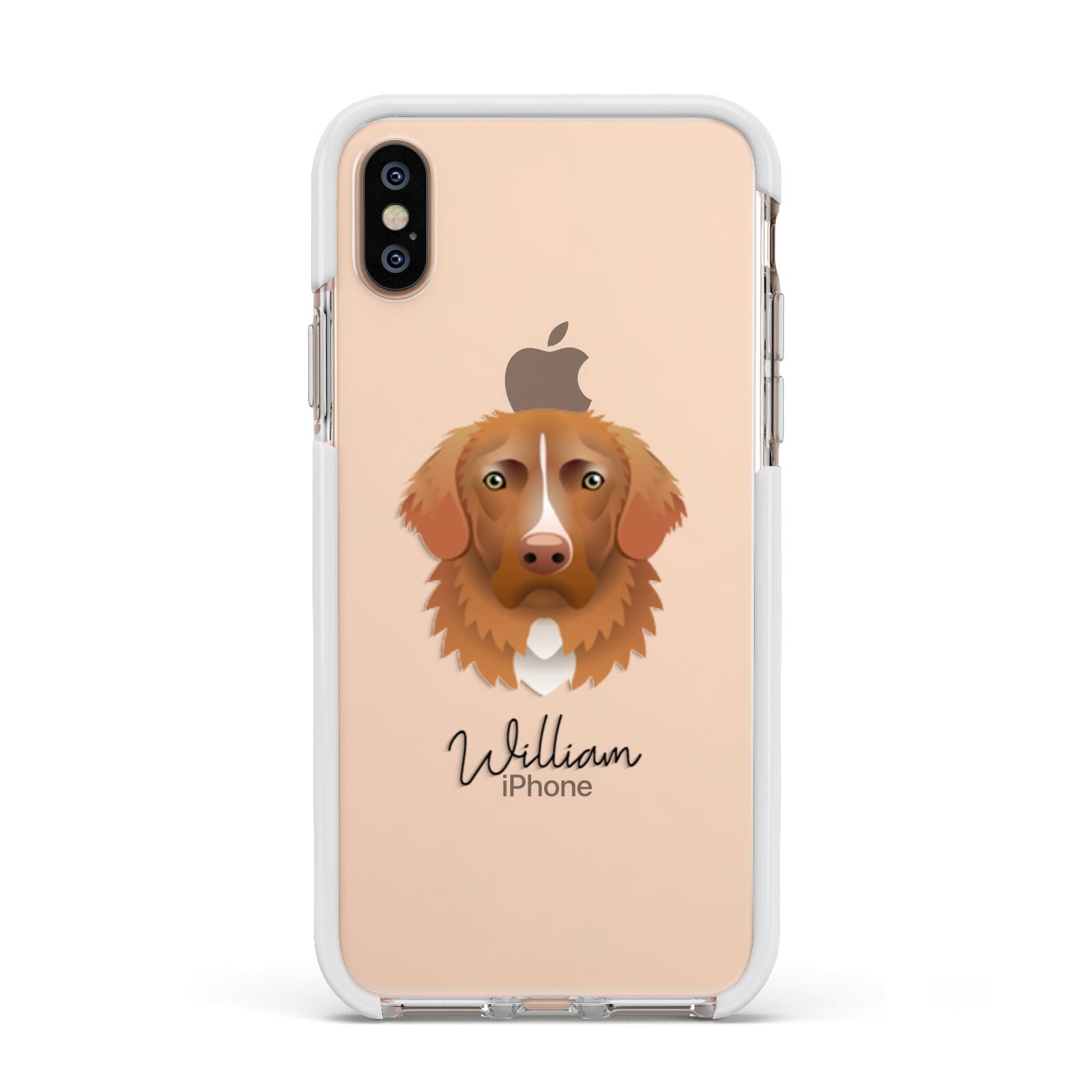 Nova Scotia Duck Tolling Retriever Personalised Apple iPhone Xs Impact Case White Edge on Gold Phone