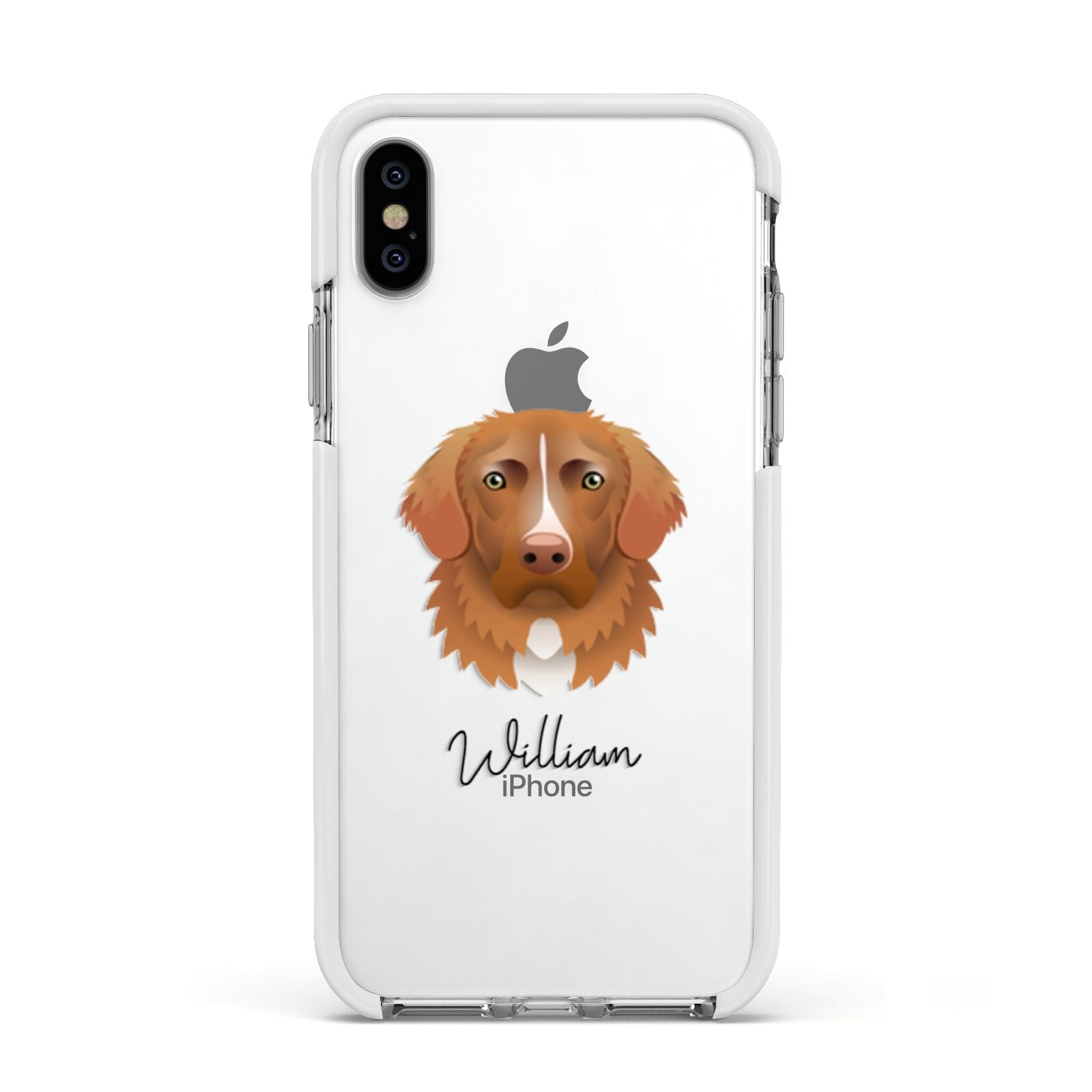 Nova Scotia Duck Tolling Retriever Personalised Apple iPhone Xs Impact Case White Edge on Silver Phone