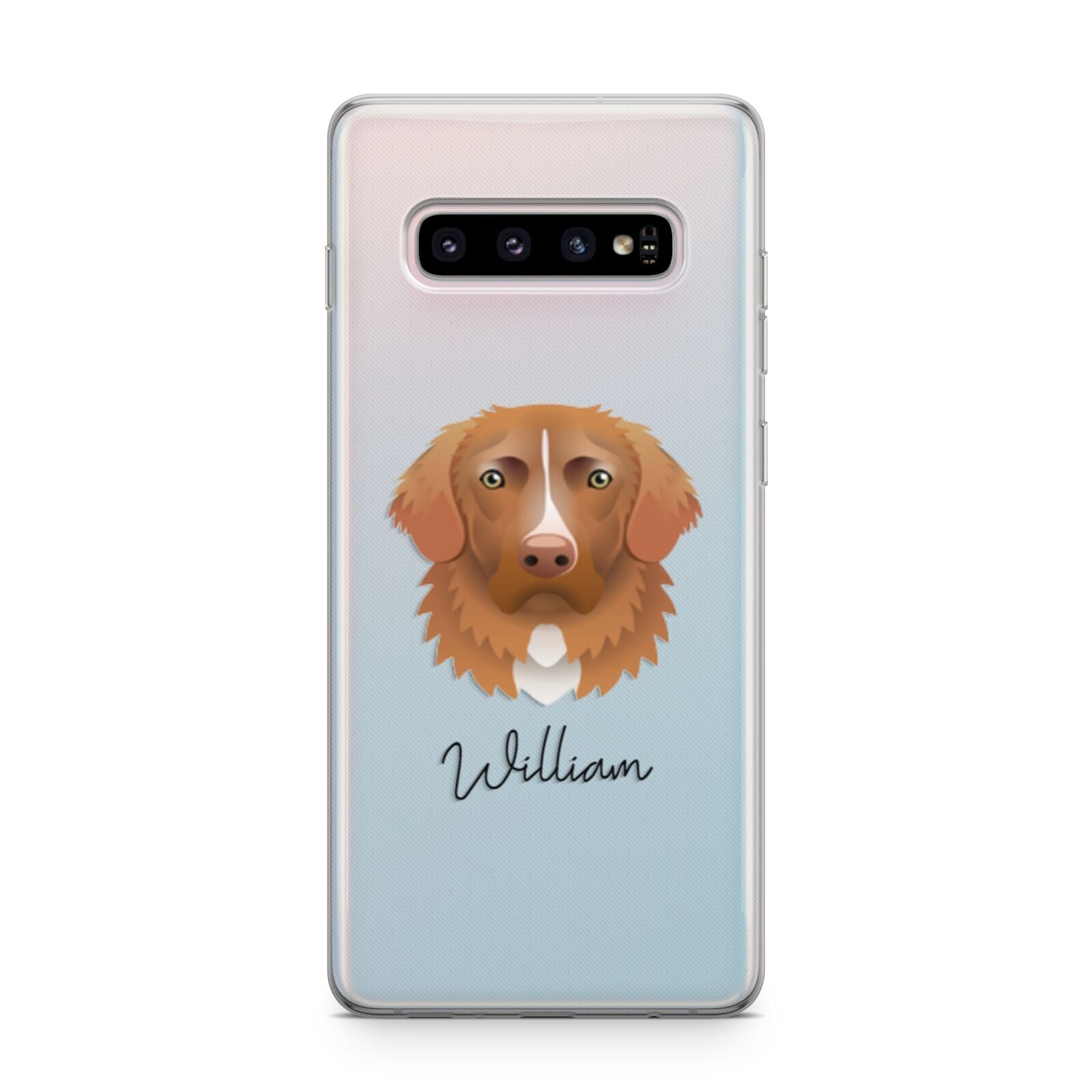 Nova Scotia Duck Tolling Retriever Personalised Samsung Galaxy S10 Plus Case