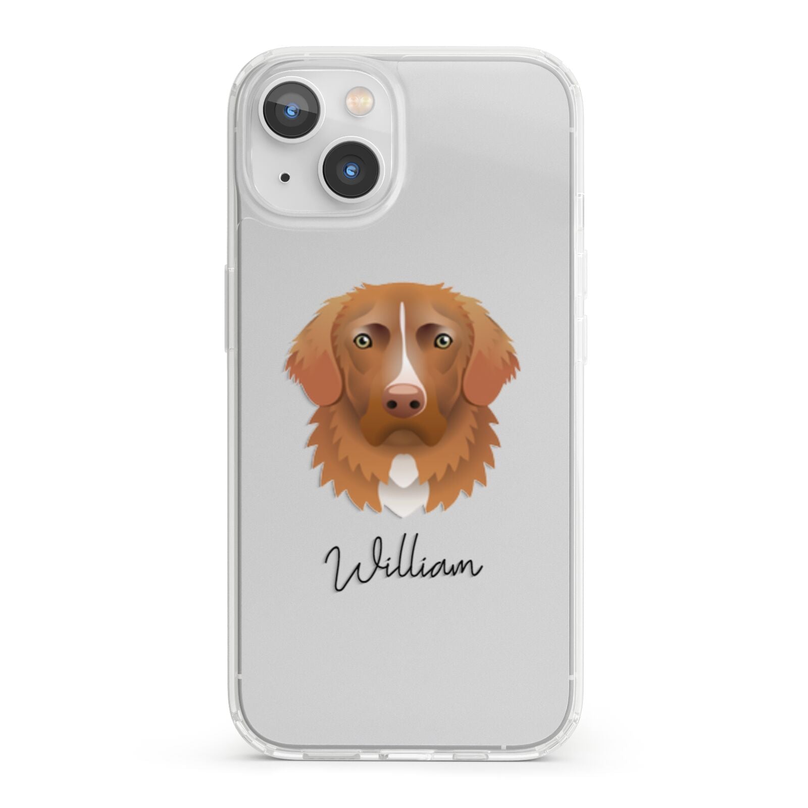 Nova Scotia Duck Tolling Retriever Personalised iPhone 13 Clear Bumper Case