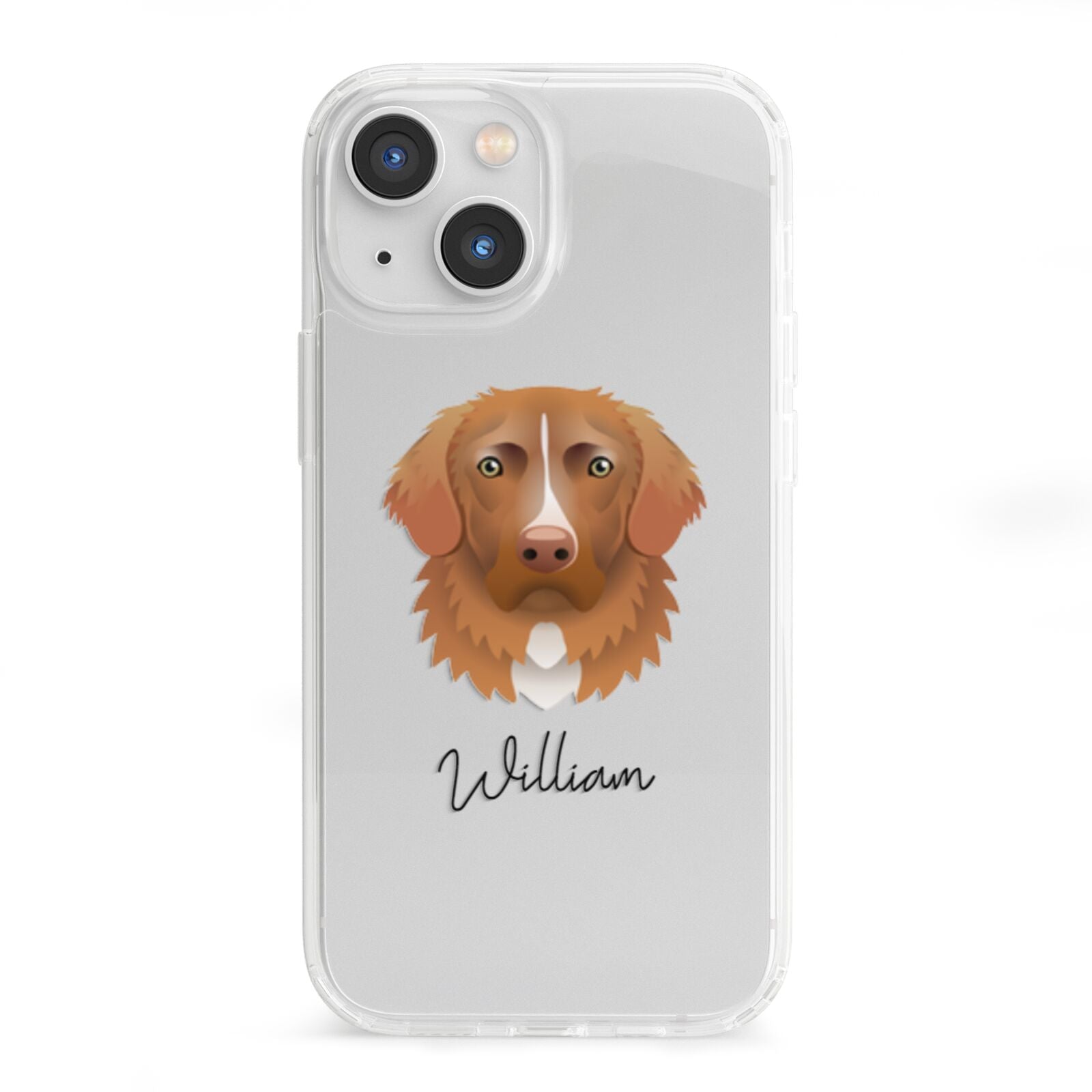 Nova Scotia Duck Tolling Retriever Personalised iPhone 13 Mini Clear Bumper Case