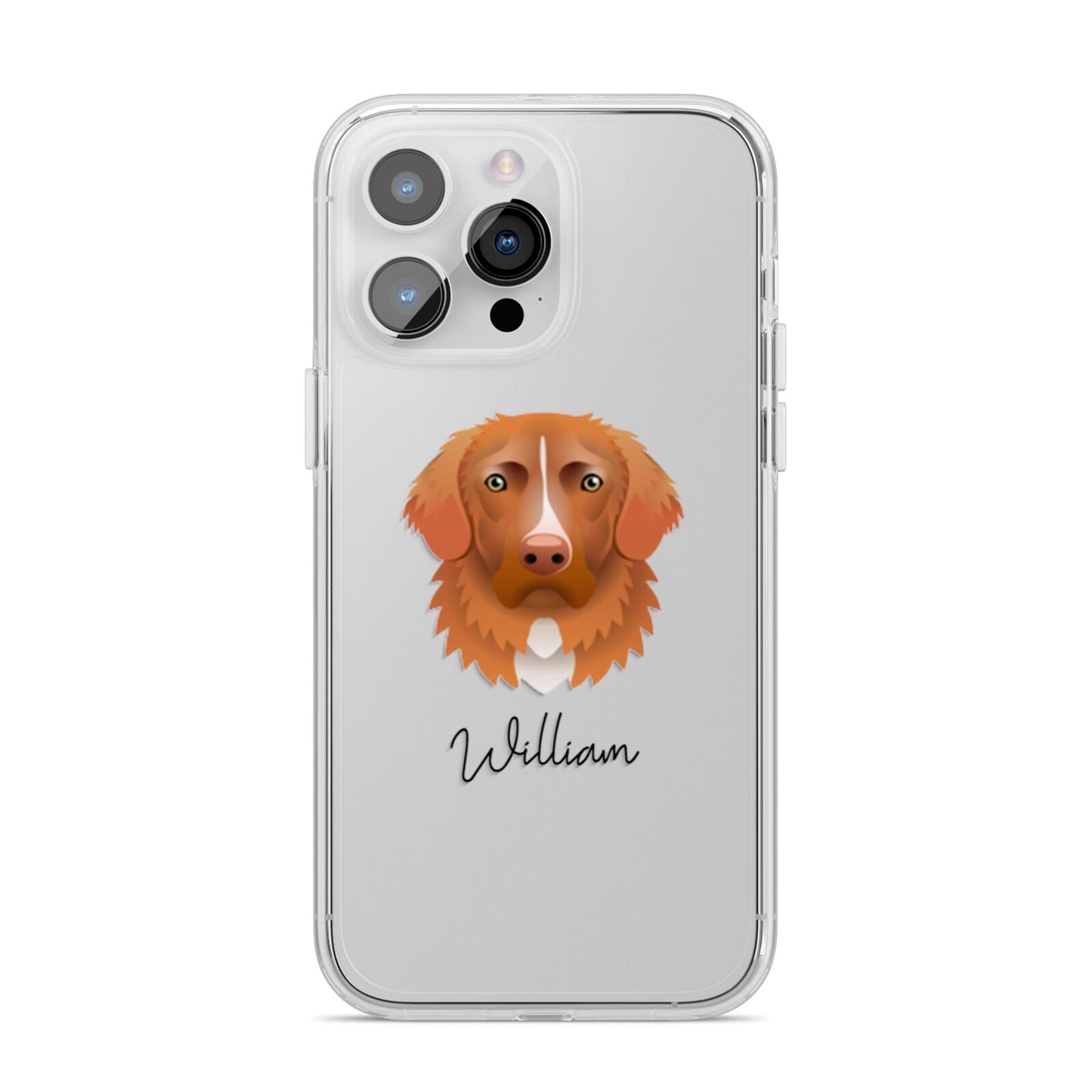 Nova Scotia Duck Tolling Retriever Personalised iPhone 14 Pro Max Clear Tough Case Silver