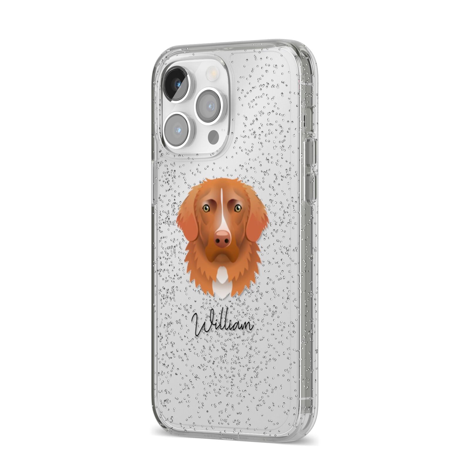 Nova Scotia Duck Tolling Retriever Personalised iPhone 14 Pro Max Glitter Tough Case Silver Angled Image