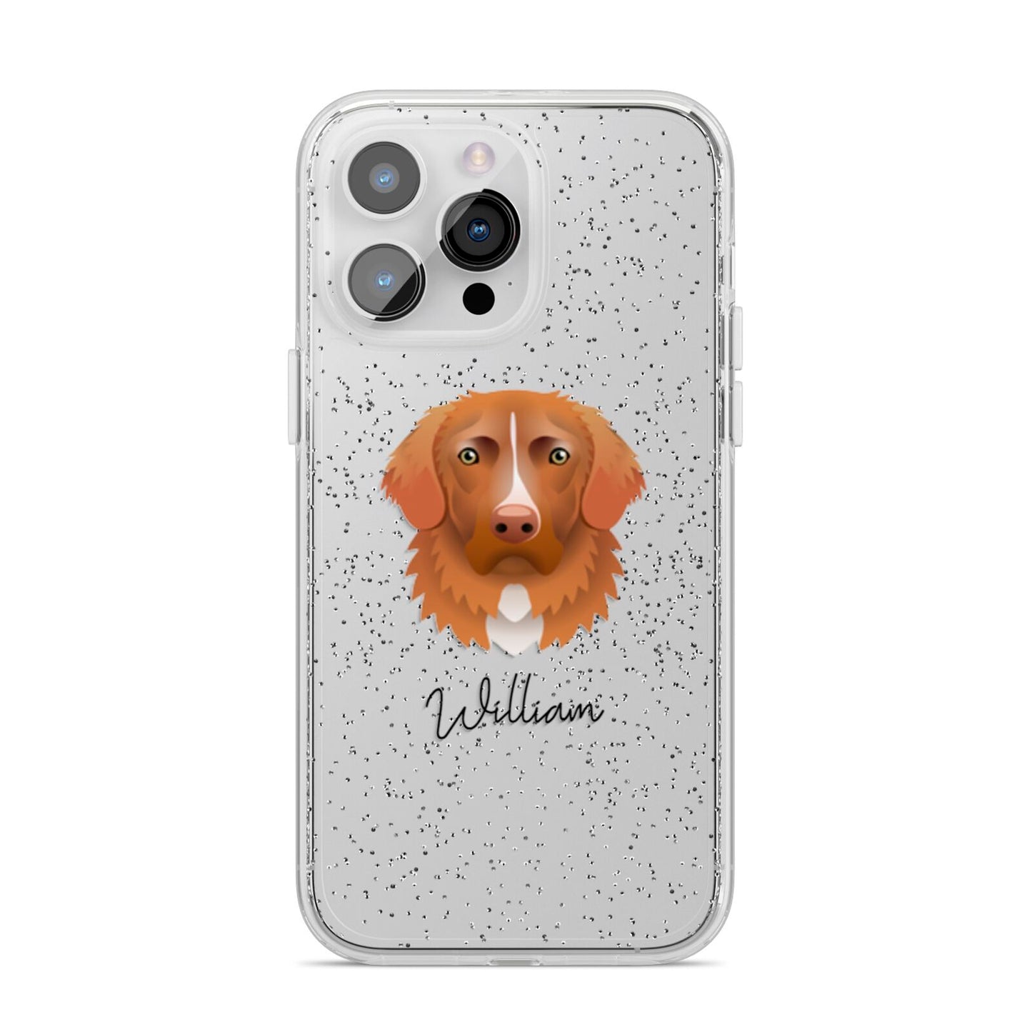 Nova Scotia Duck Tolling Retriever Personalised iPhone 14 Pro Max Glitter Tough Case Silver