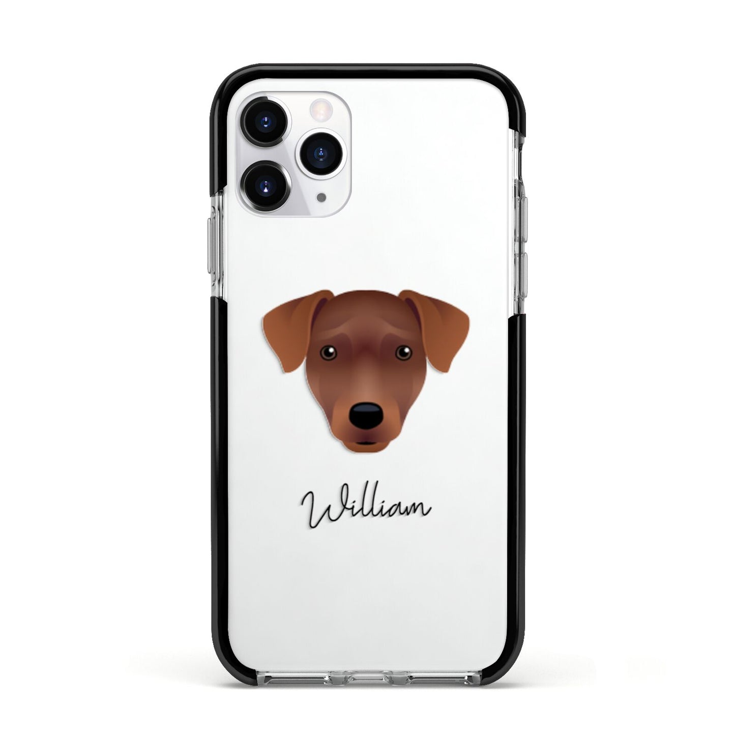 Patterdale Terrier Personalised Apple iPhone 11 Pro in Silver with Black Impact Case