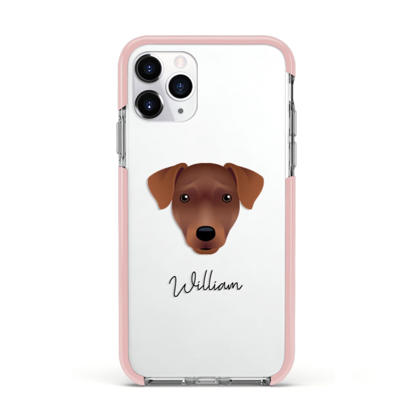 Patterdale Terrier Personalised Apple iPhone 11 Pro in Silver with Pink Impact Case