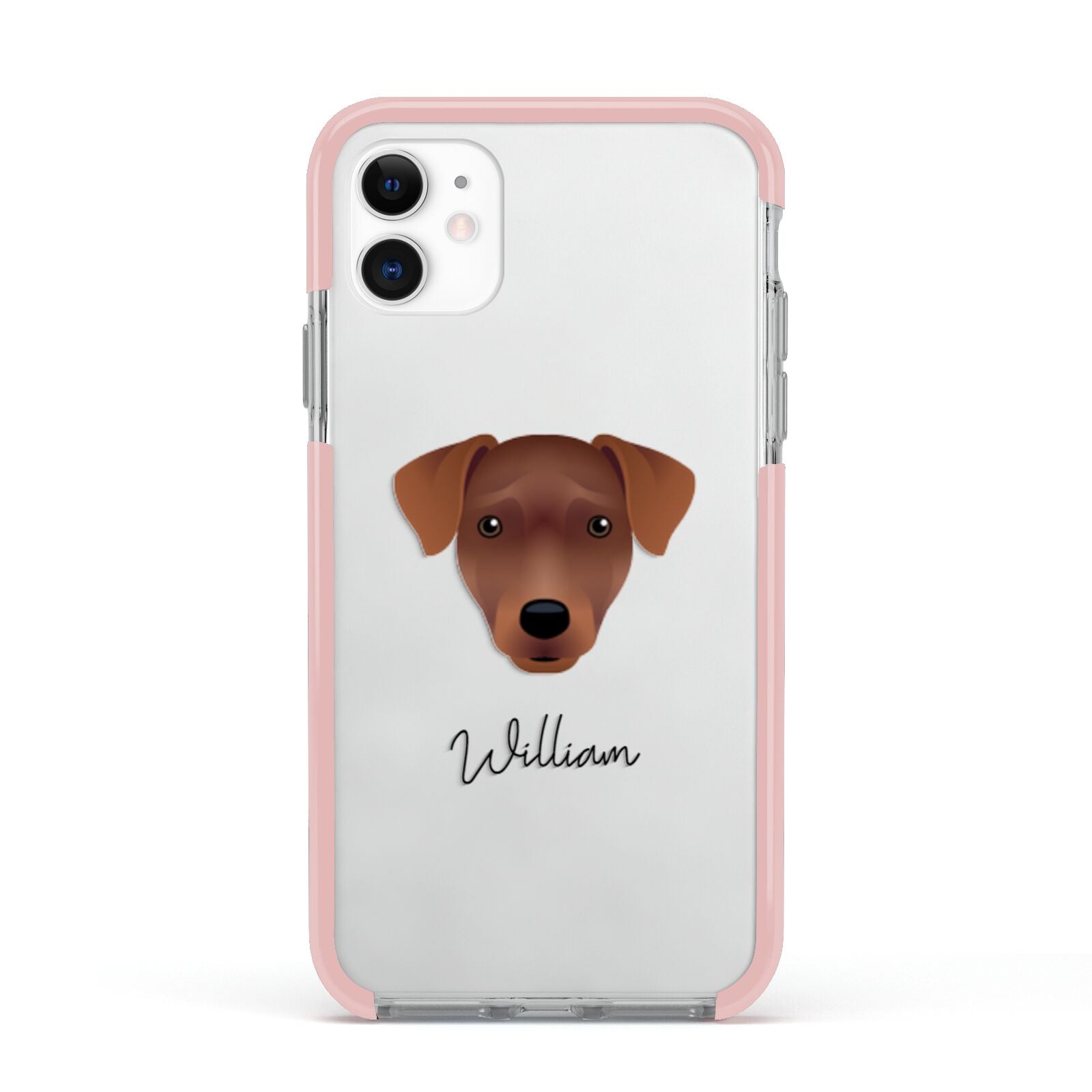 Patterdale Terrier Personalised Apple iPhone 11 in White with Pink Impact Case