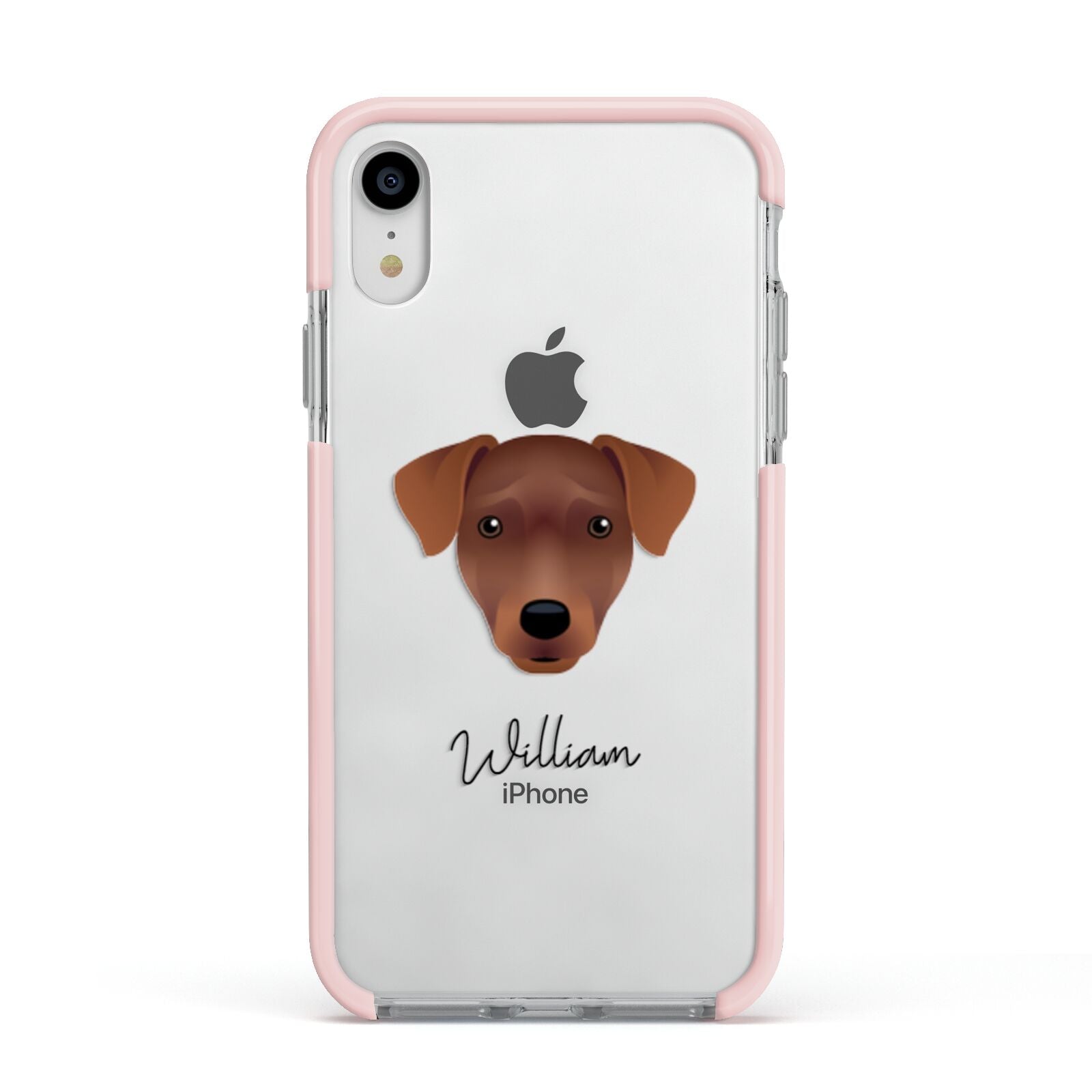 Patterdale Terrier Personalised Apple iPhone XR Impact Case Pink Edge on Silver Phone