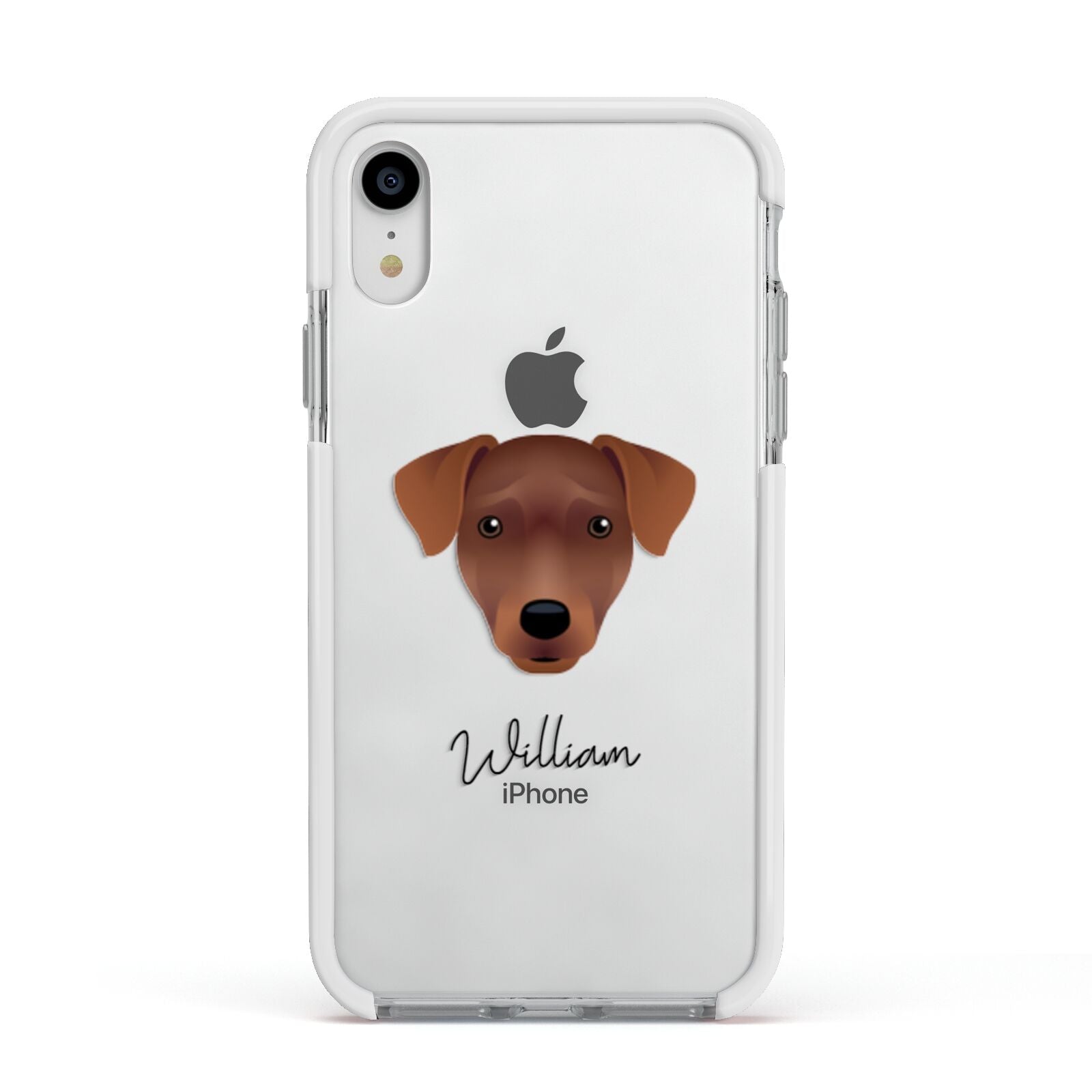 Patterdale Terrier Personalised Apple iPhone XR Impact Case White Edge on Silver Phone