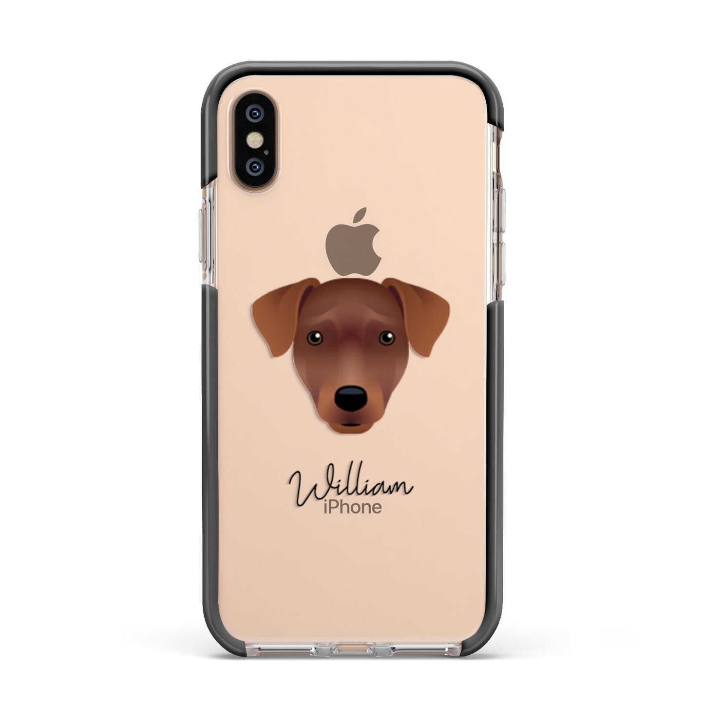 Patterdale Terrier Personalised Apple iPhone Xs Impact Case Black Edge on Gold Phone