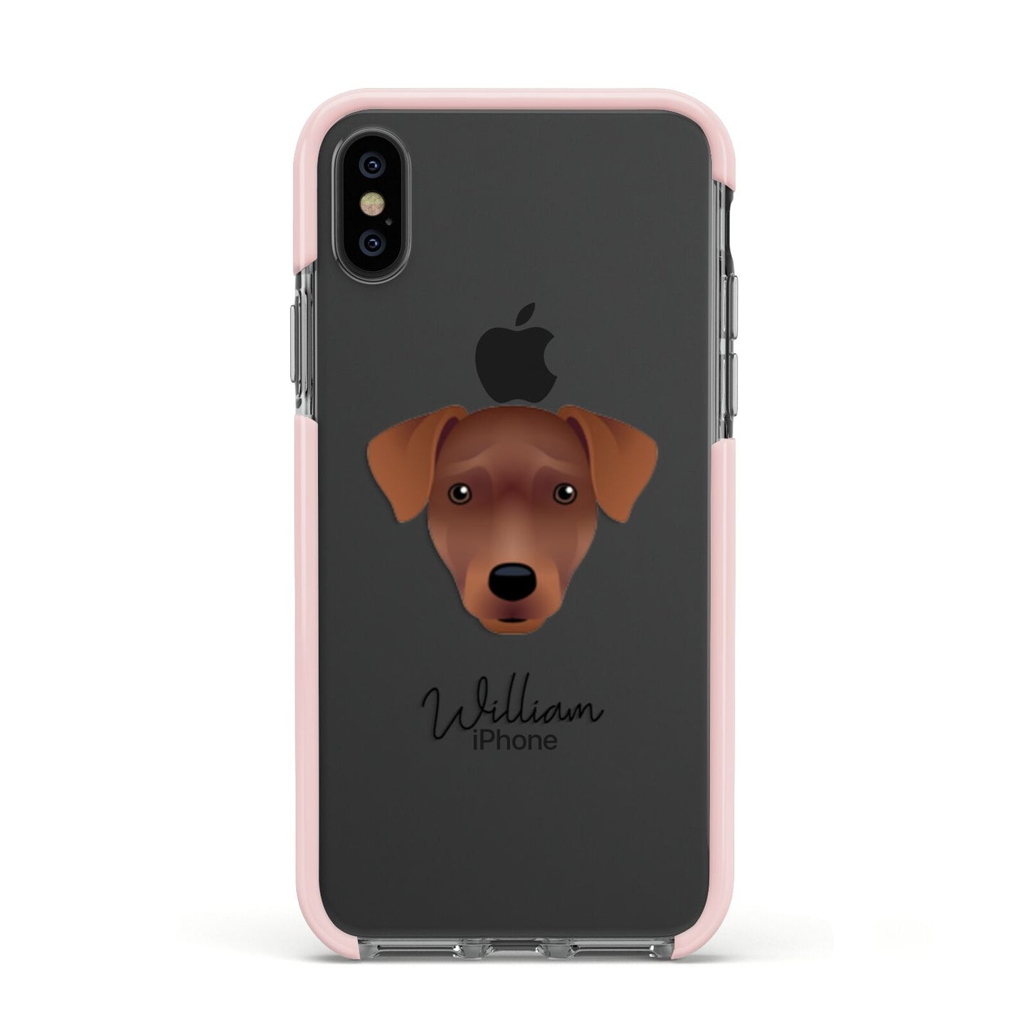 Patterdale Terrier Personalised Apple iPhone Xs Impact Case Pink Edge on Black Phone