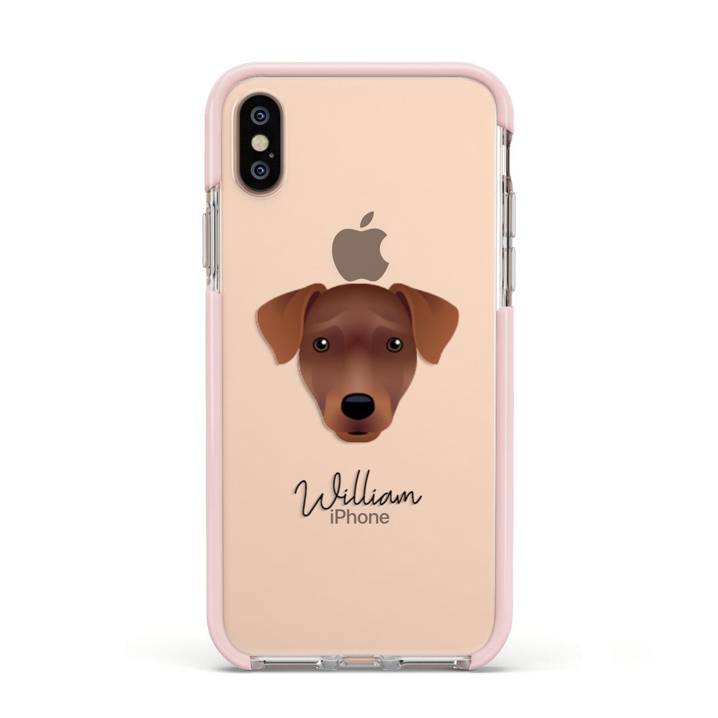 Patterdale Terrier Personalised Apple iPhone Xs Impact Case Pink Edge on Gold Phone