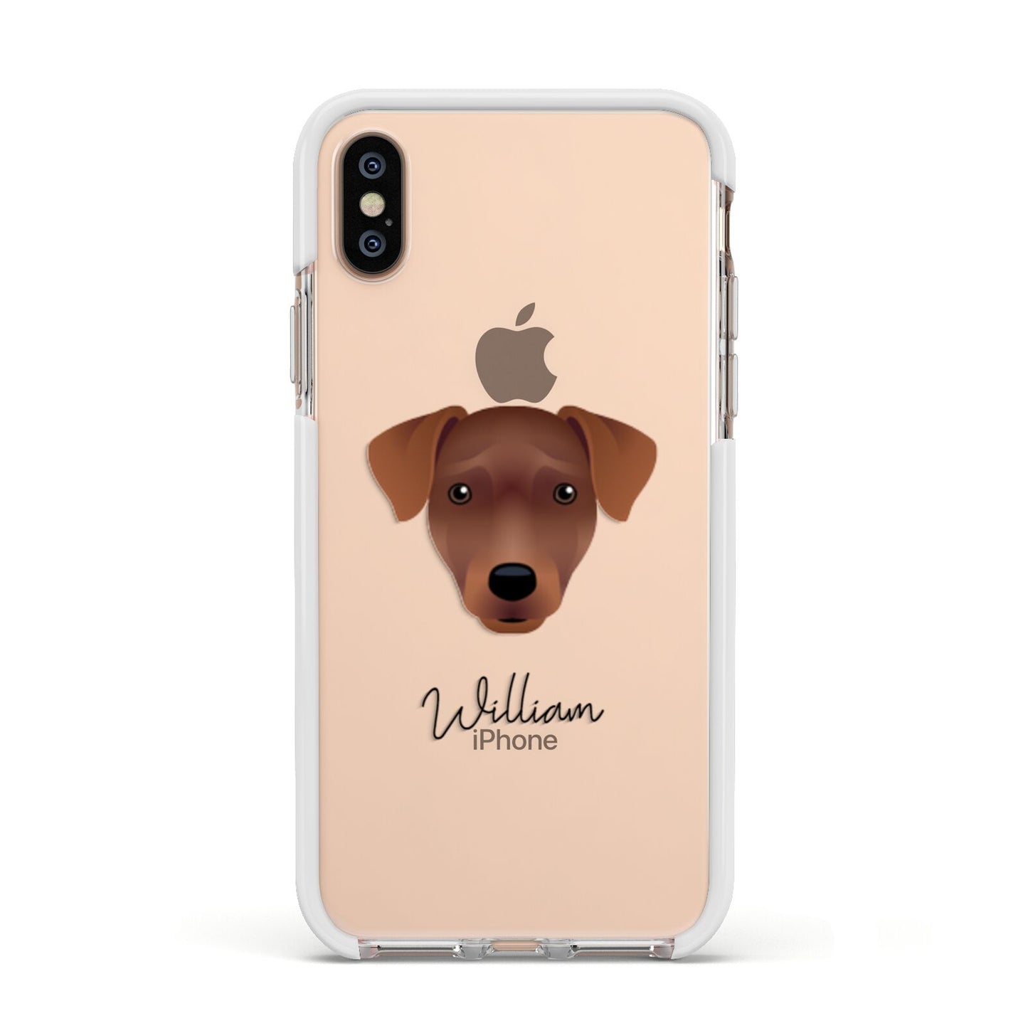 Patterdale Terrier Personalised Apple iPhone Xs Impact Case White Edge on Gold Phone