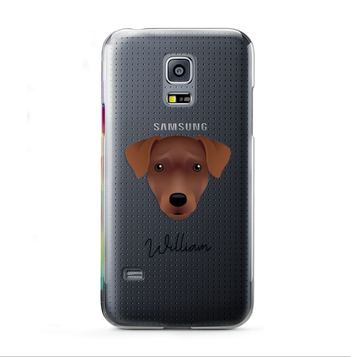 Patterdale Terrier Personalised Samsung Galaxy S5 Mini Case