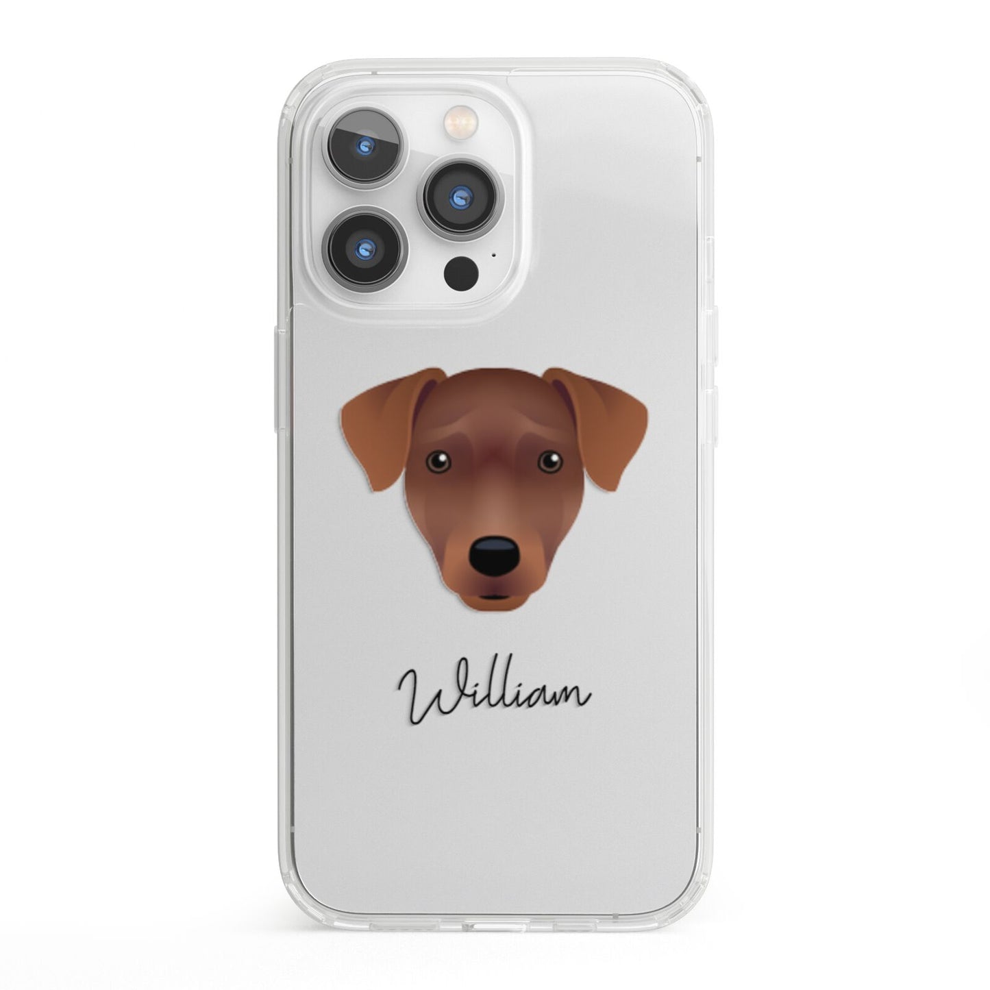 Patterdale Terrier Personalised iPhone 13 Pro Clear Bumper Case