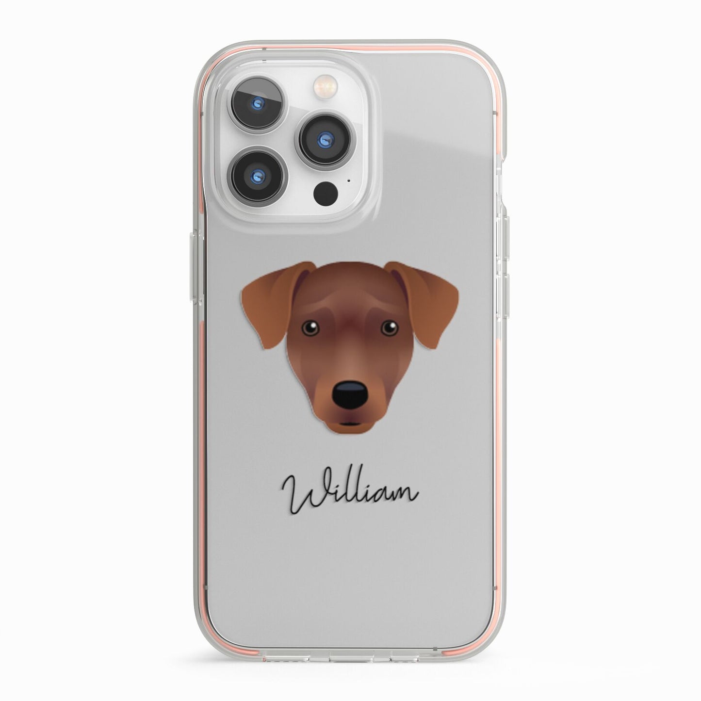 Patterdale Terrier Personalised iPhone 13 Pro TPU Impact Case with Pink Edges