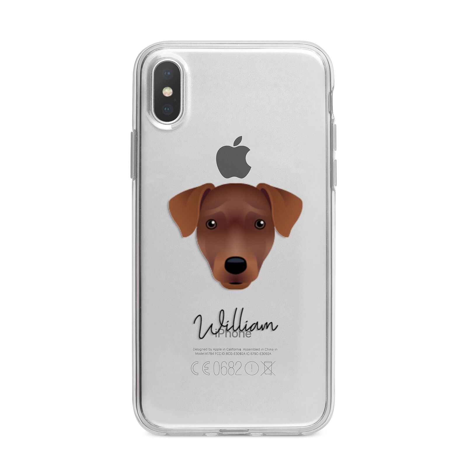 Patterdale Terrier Personalised iPhone X Bumper Case on Silver iPhone Alternative Image 1