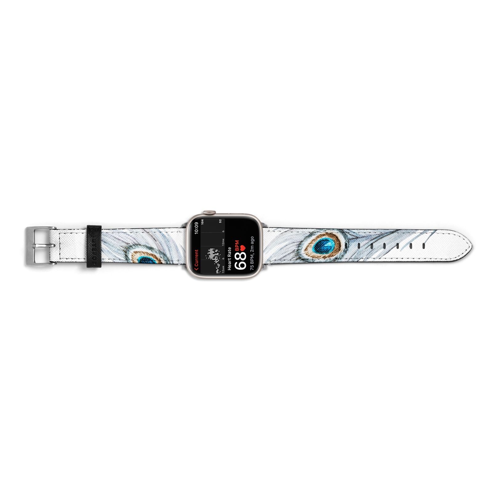 Peacock Apple Watch Strap Size 38mm Landscape Image Silver Hardware